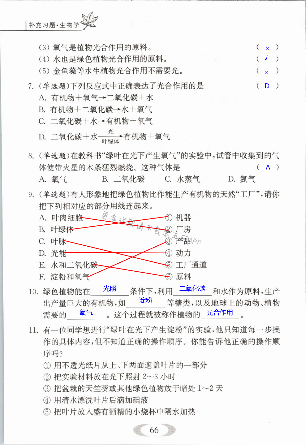 第66页