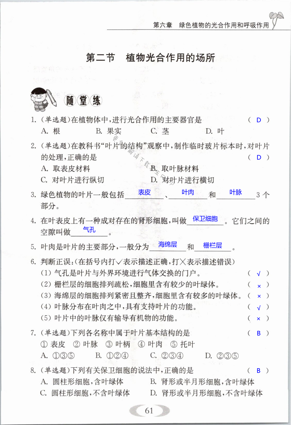 第61页
