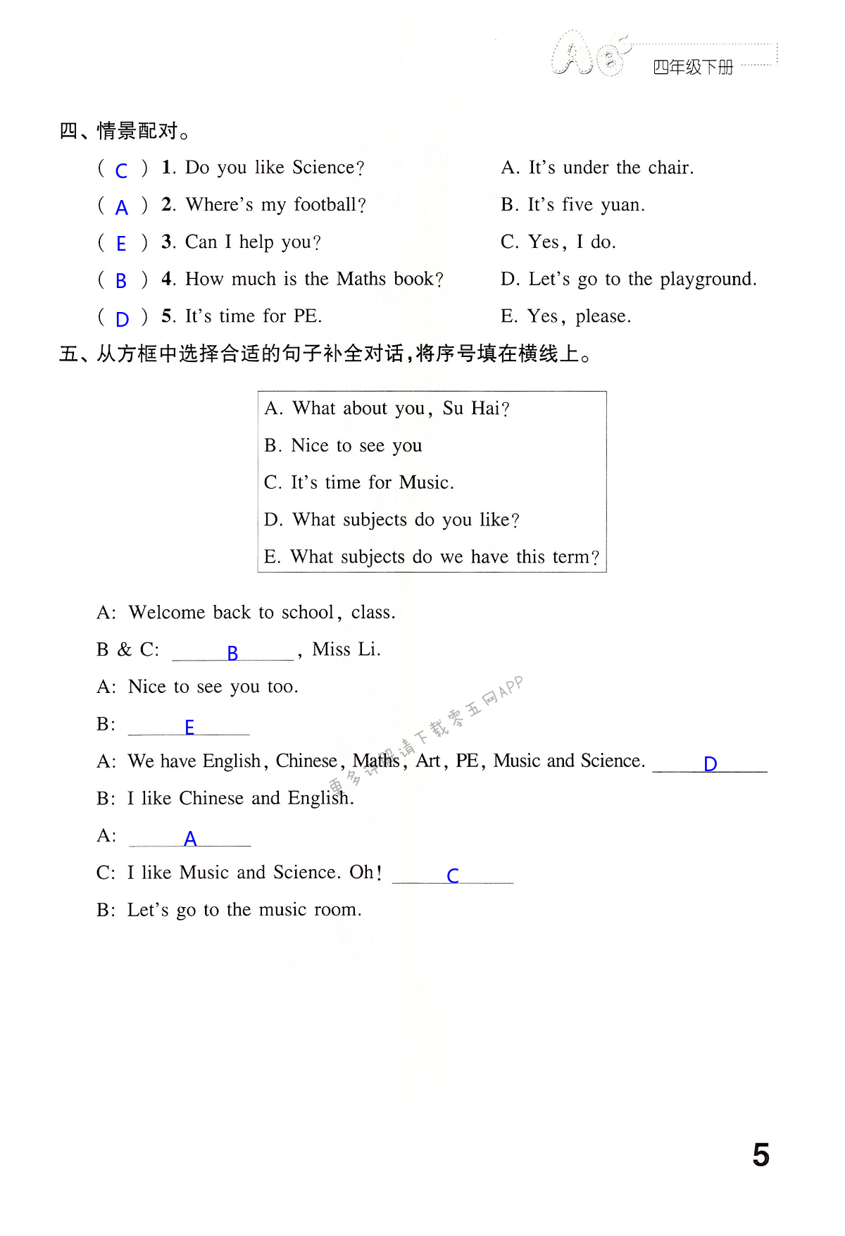第5页