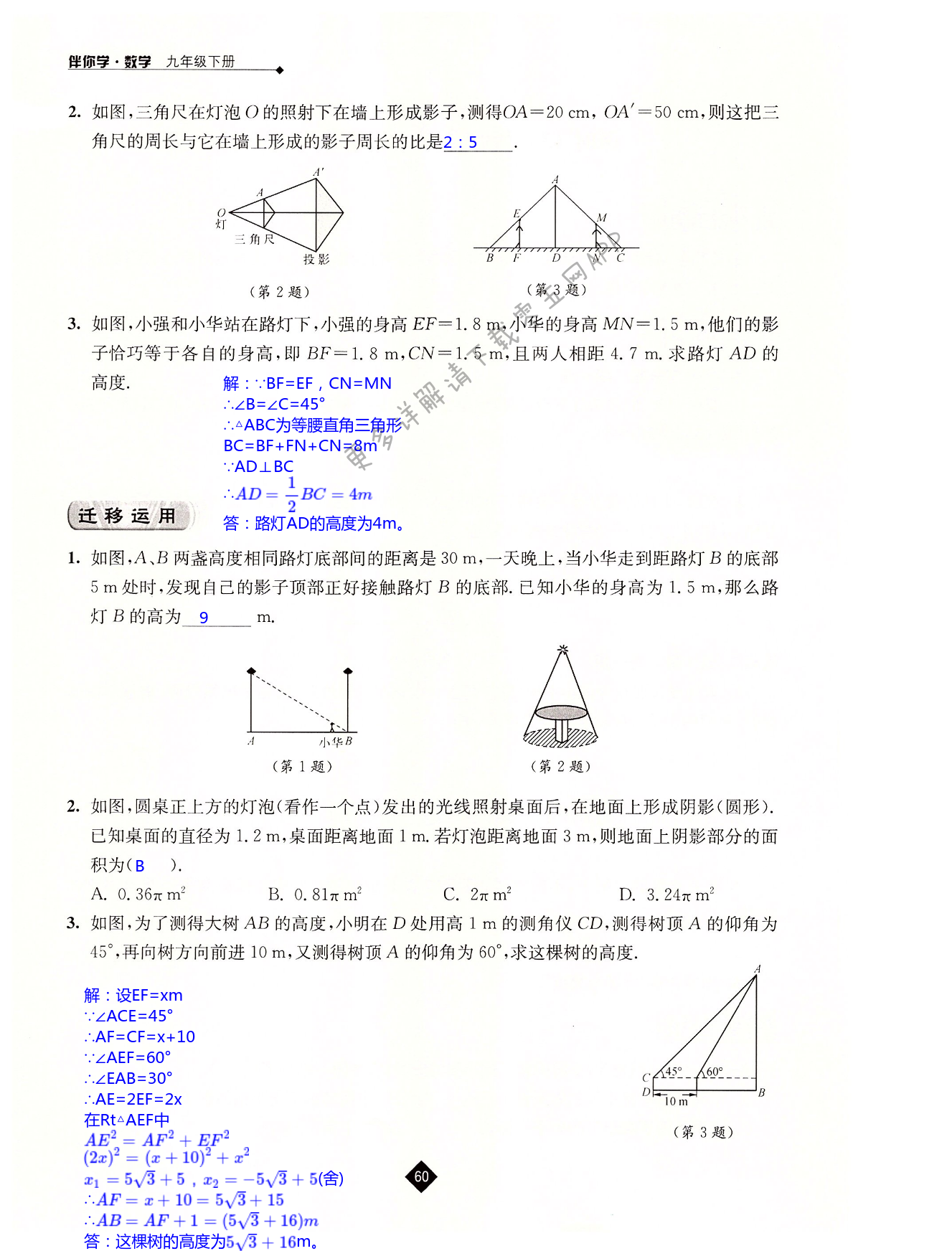 第6章 图形的相似 - 第60页