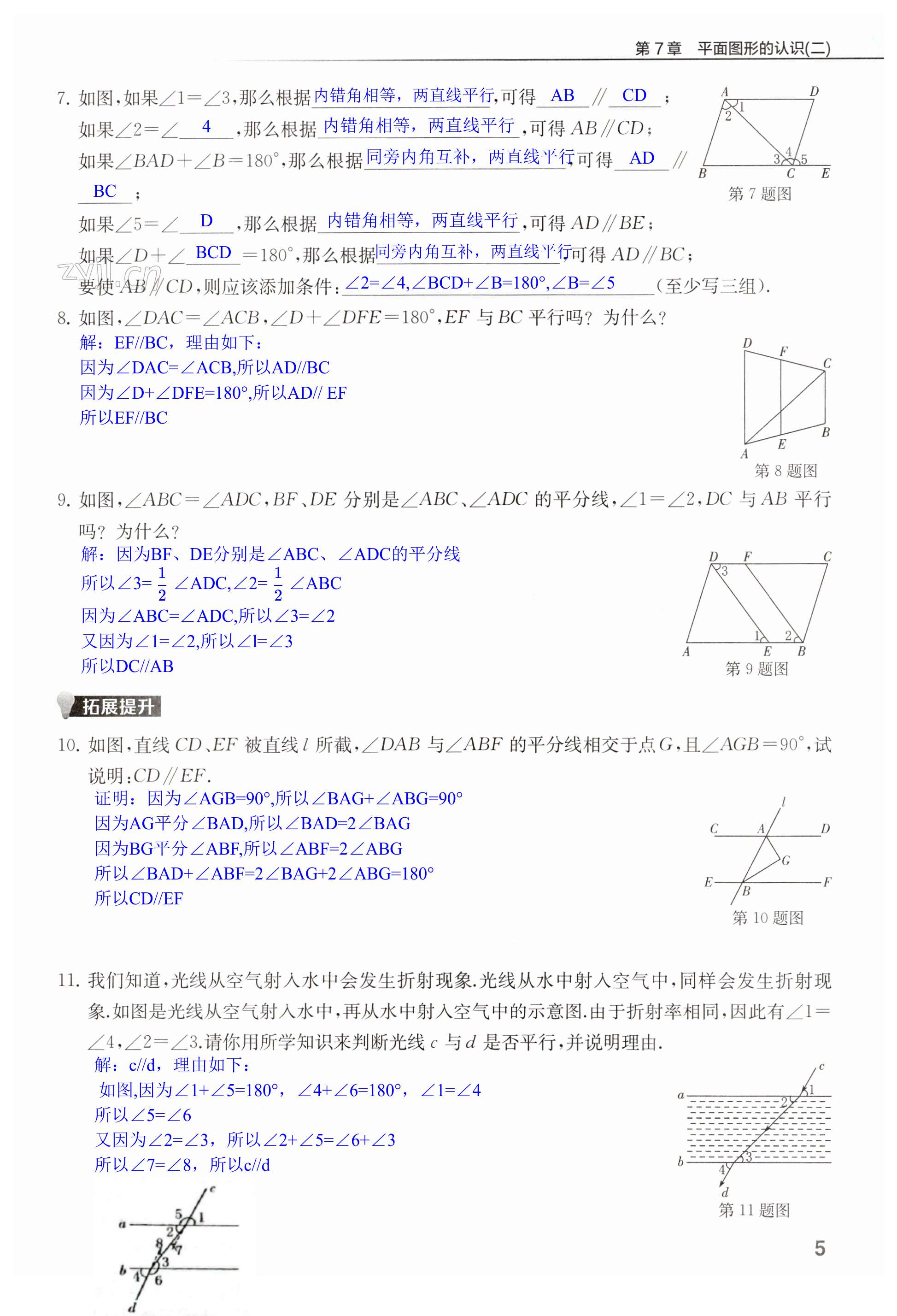 第5页
