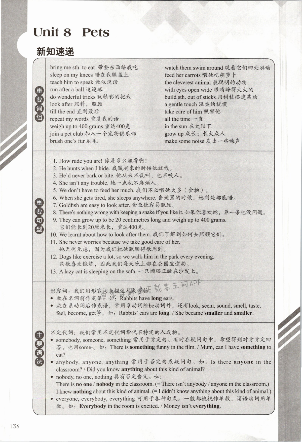 Unit 8 Pets - 第136页