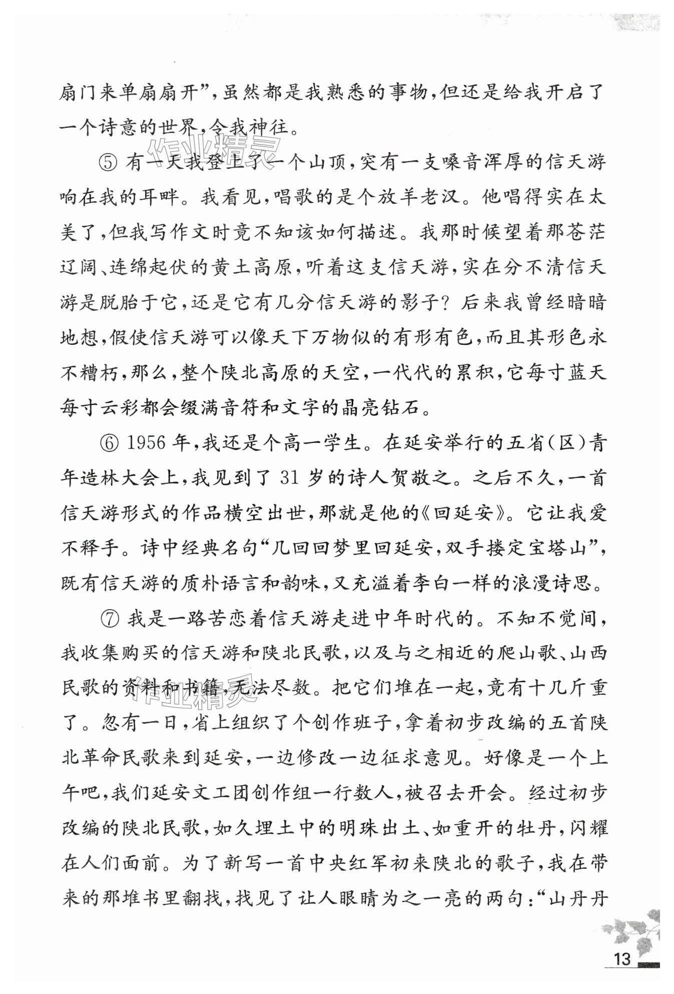 第13页