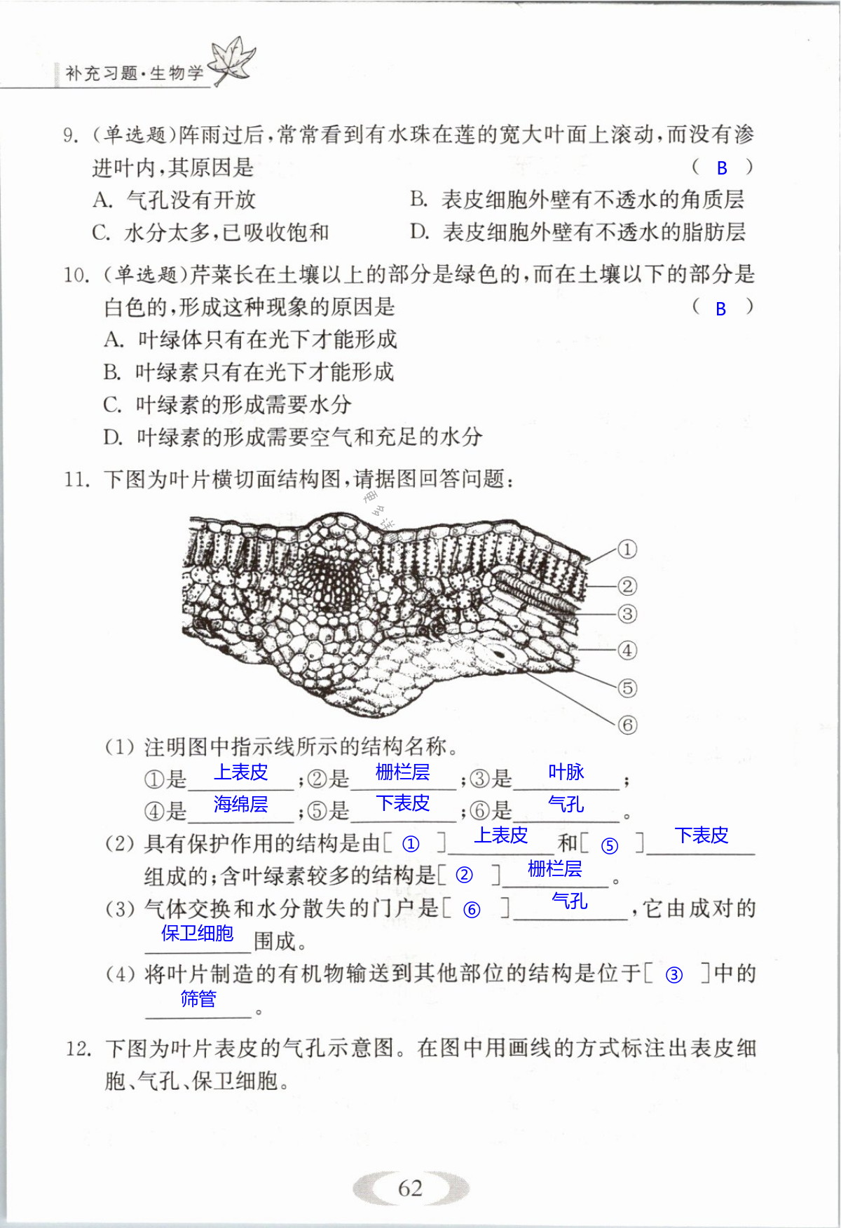 第62页
