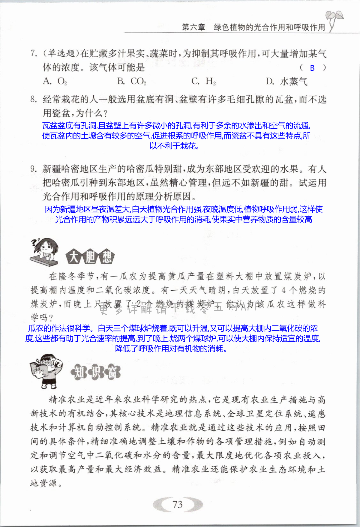 第73页