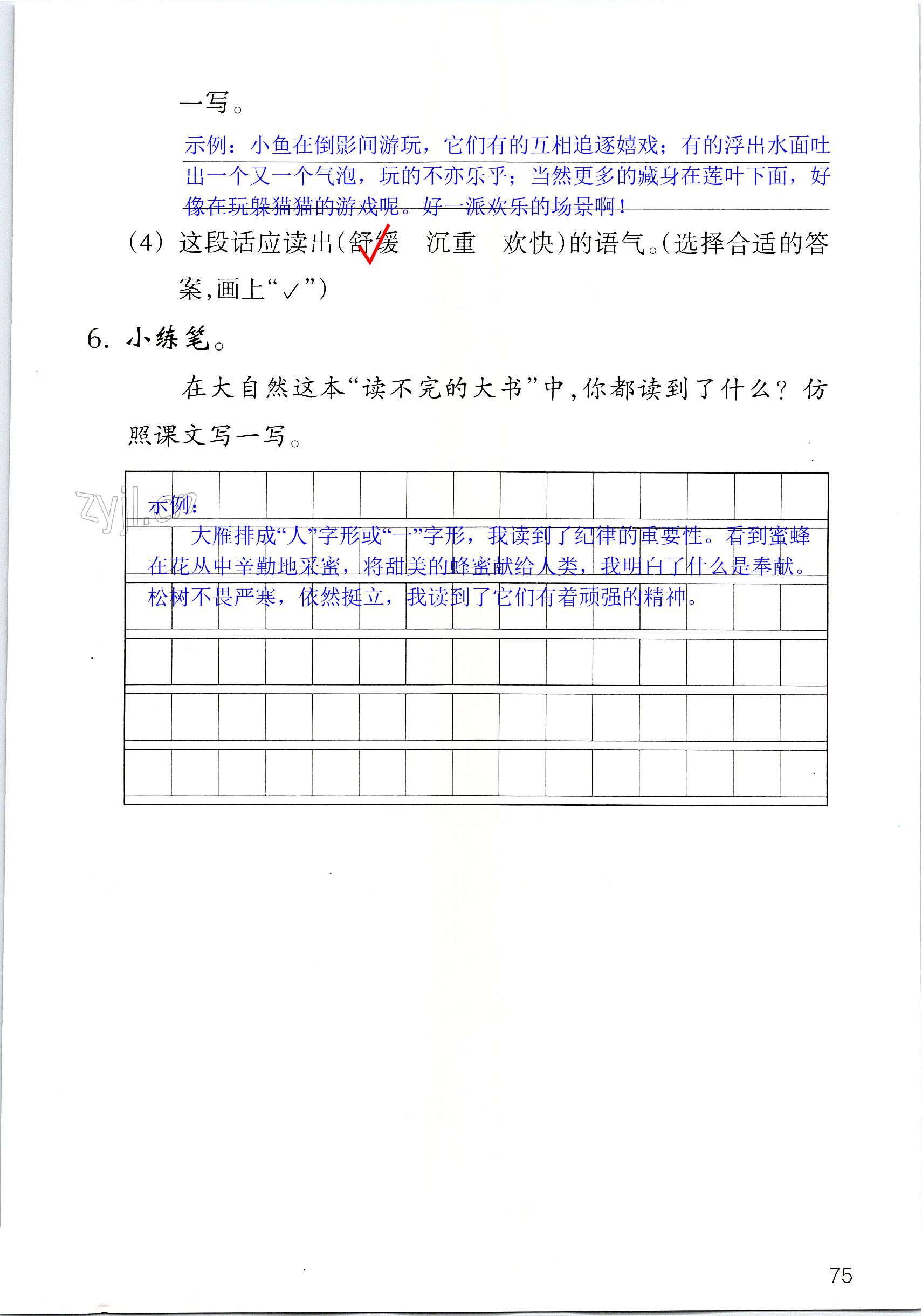 第75页