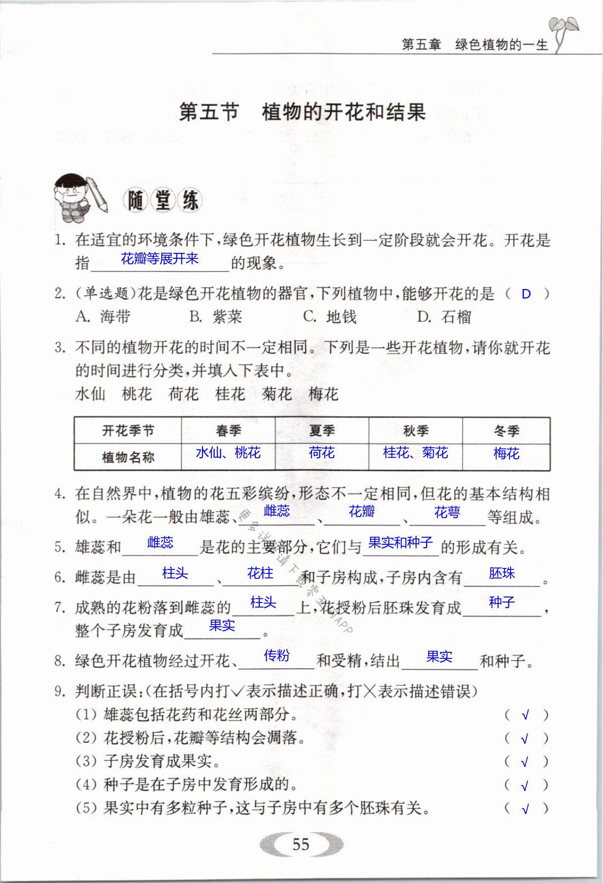 第55页