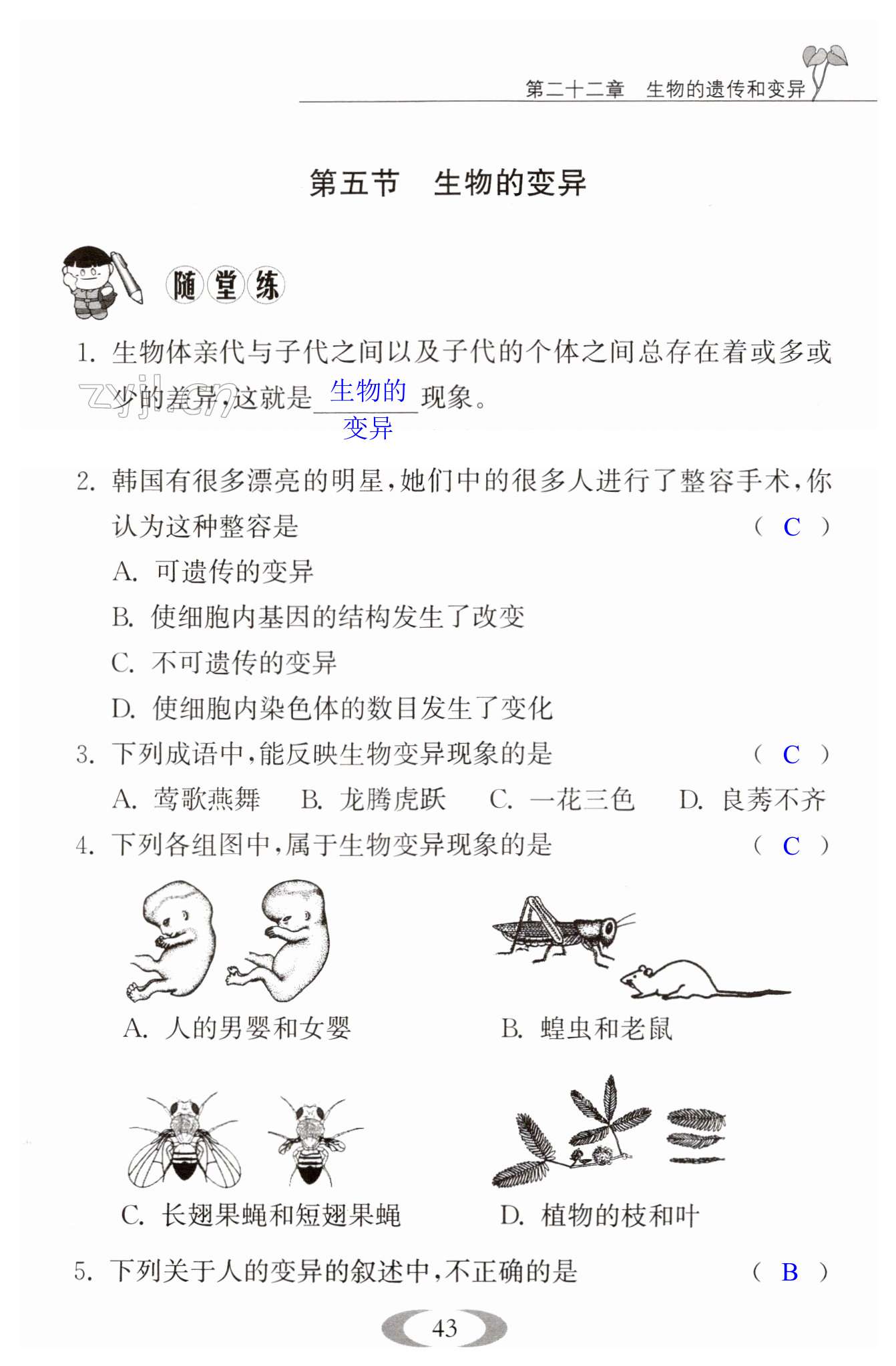 第43页