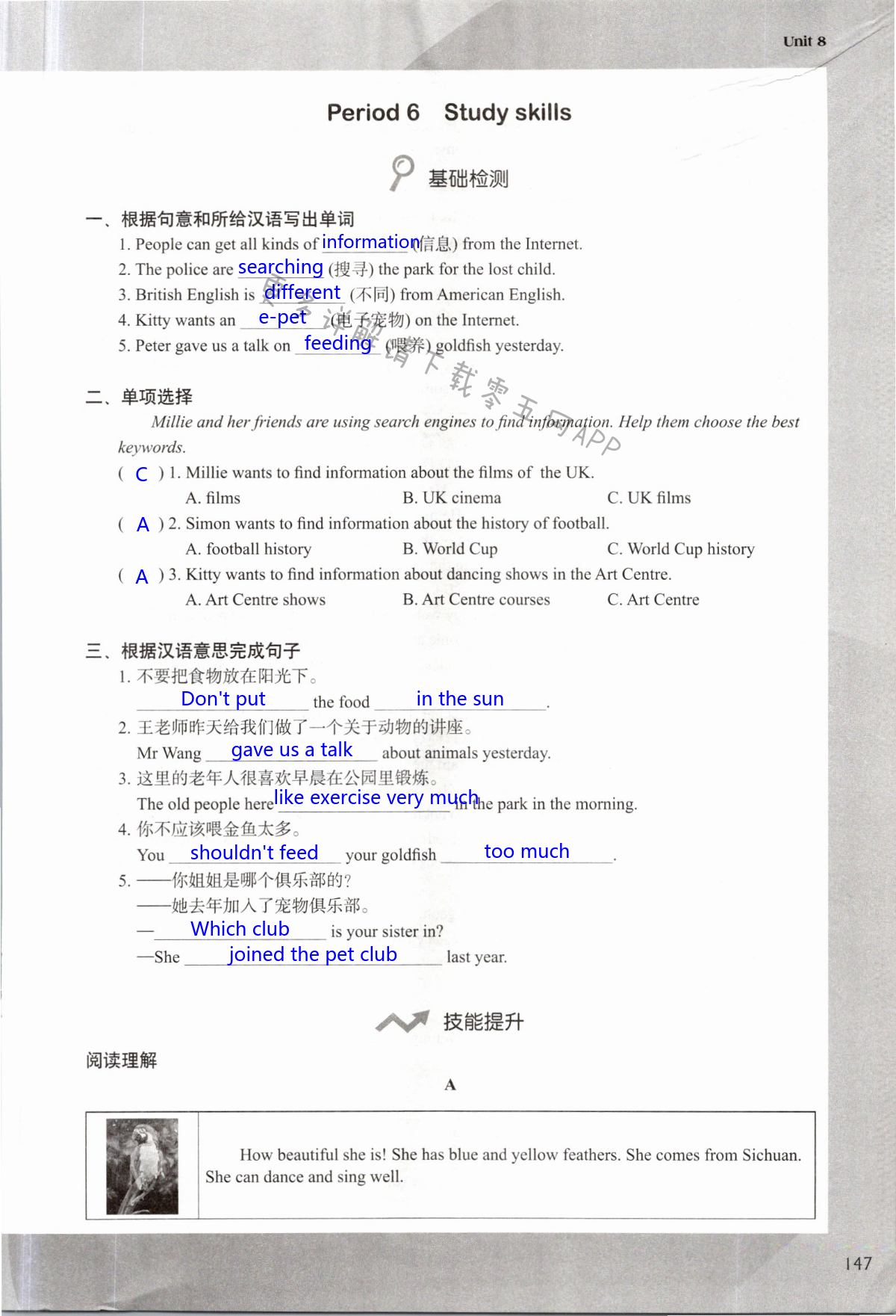 Unit 8 Pets - 第147页