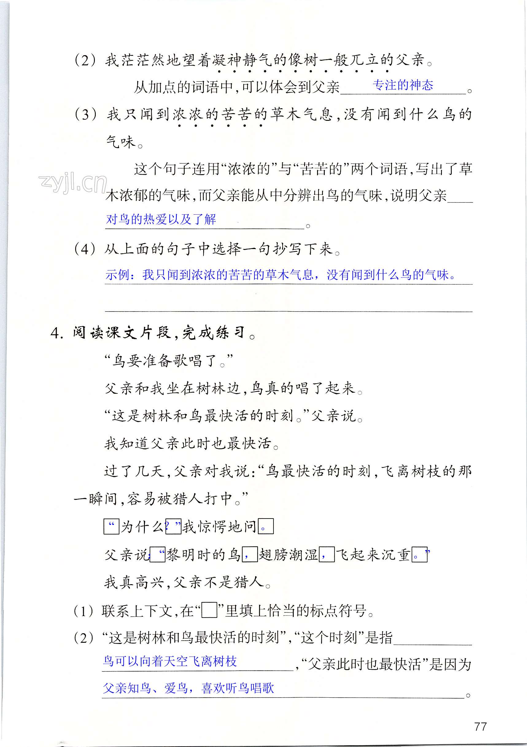 第77页