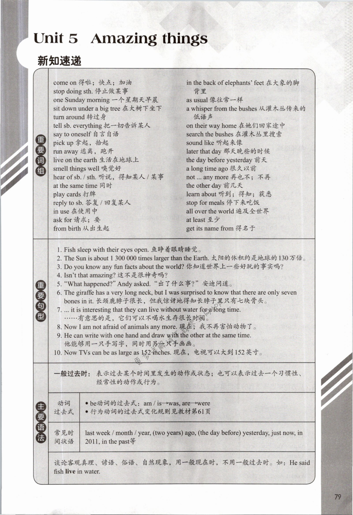 Unit 5 Amazing things - 第79页
