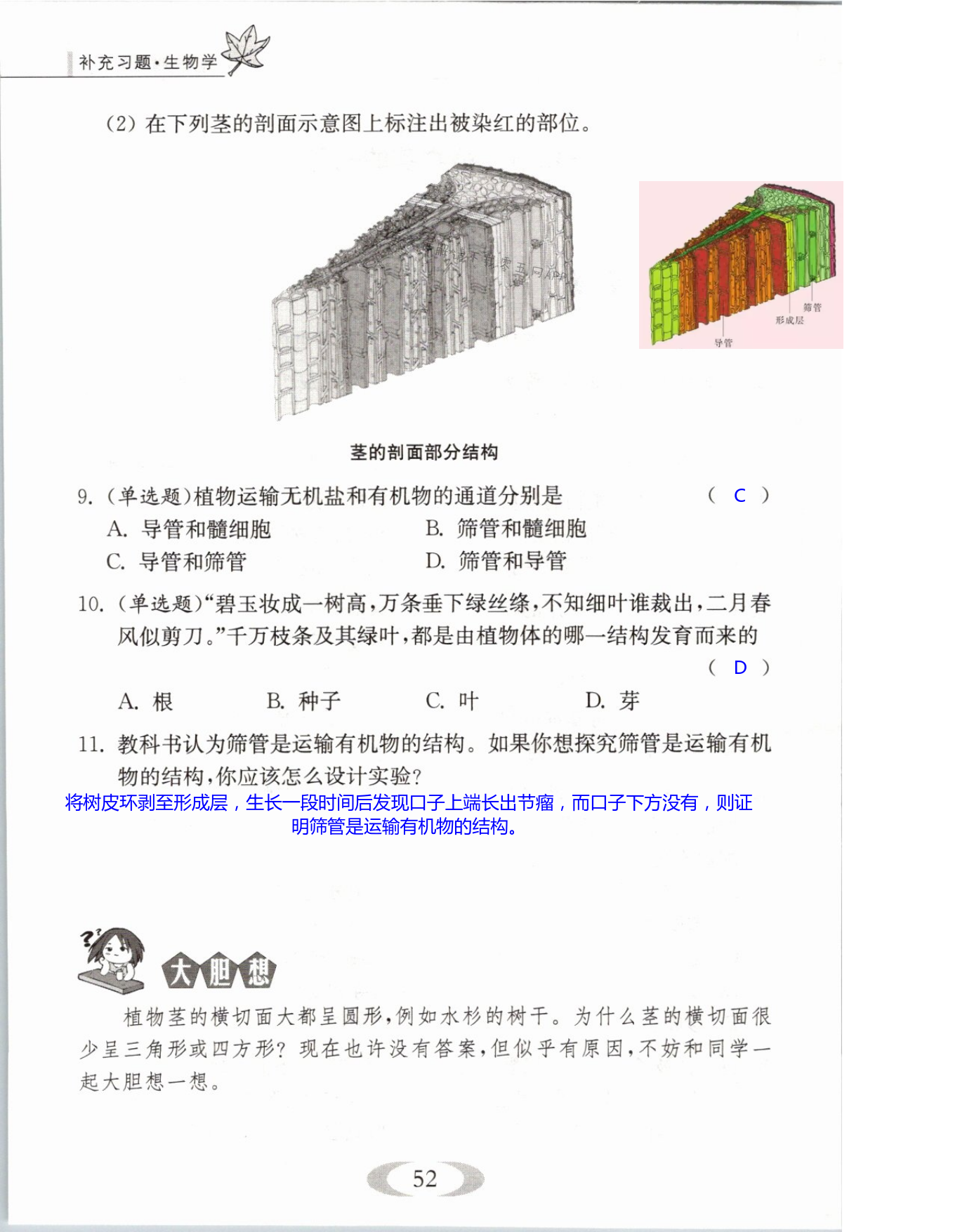 第52页