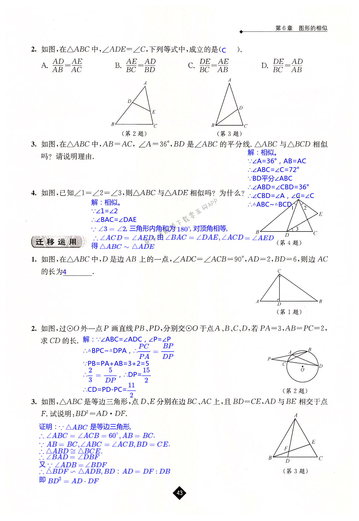 第6章 图形的相似 - 第43页