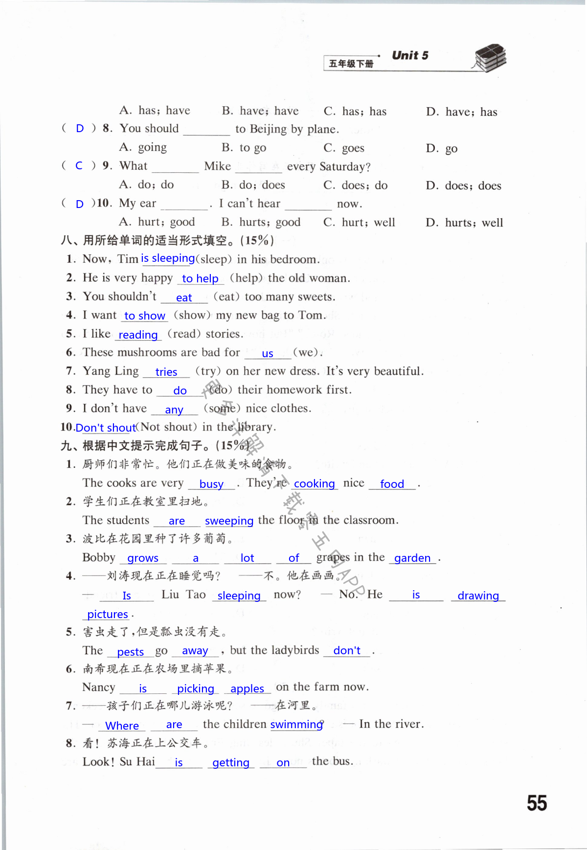 第55页