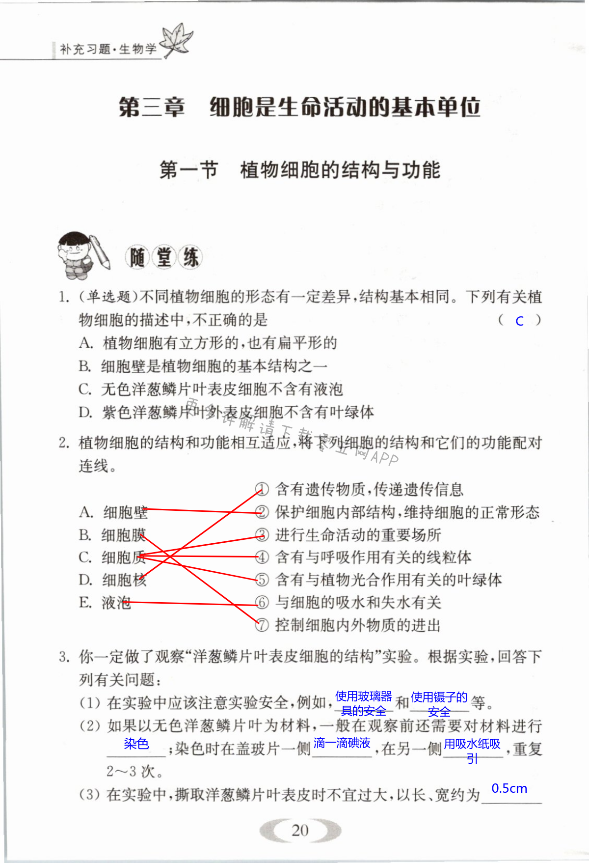 第20页