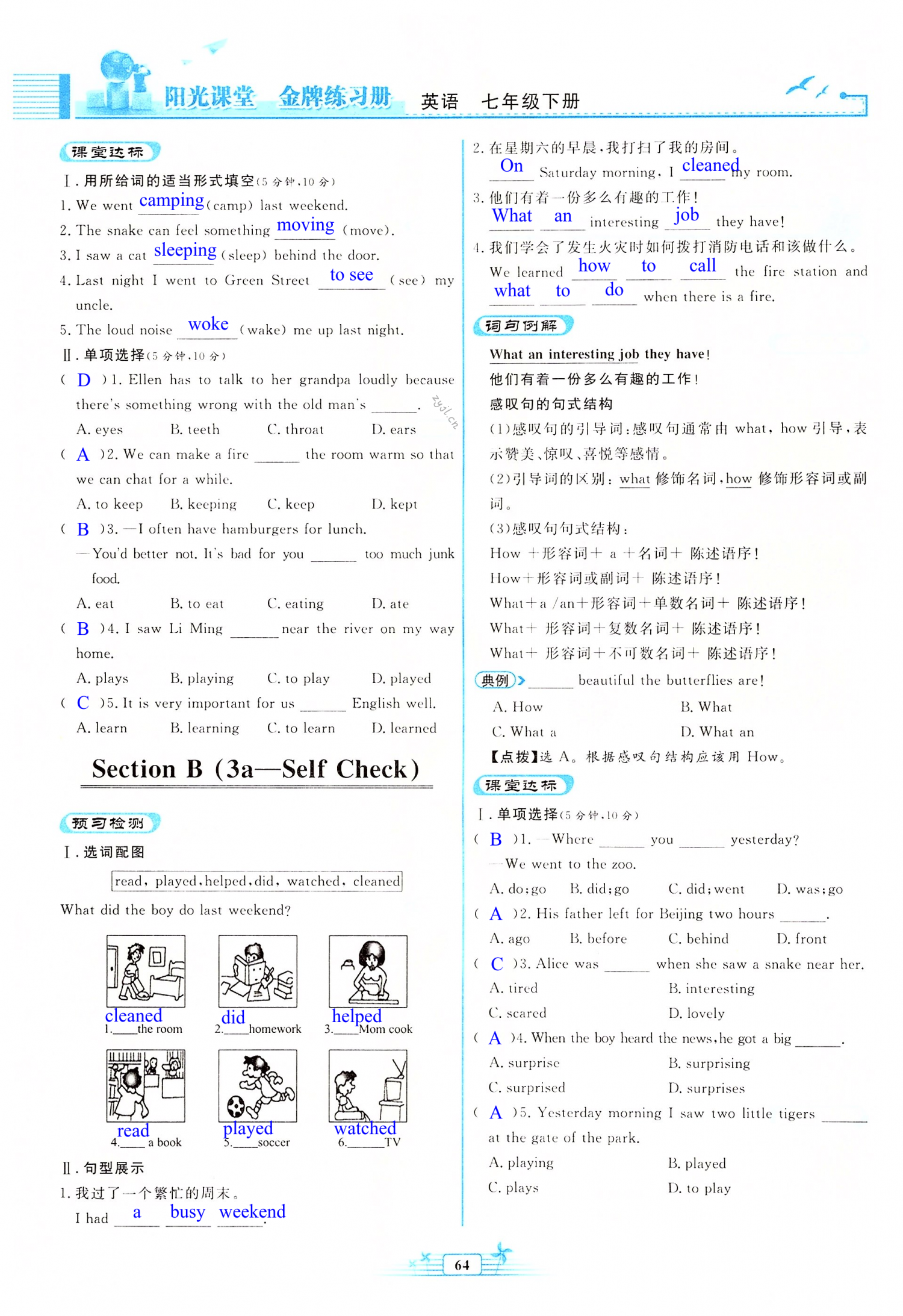 第64页