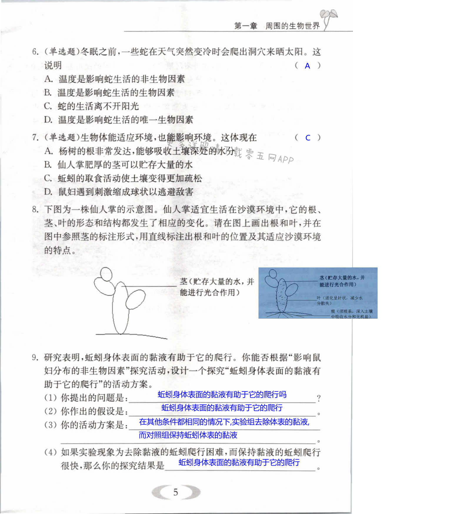 第5页