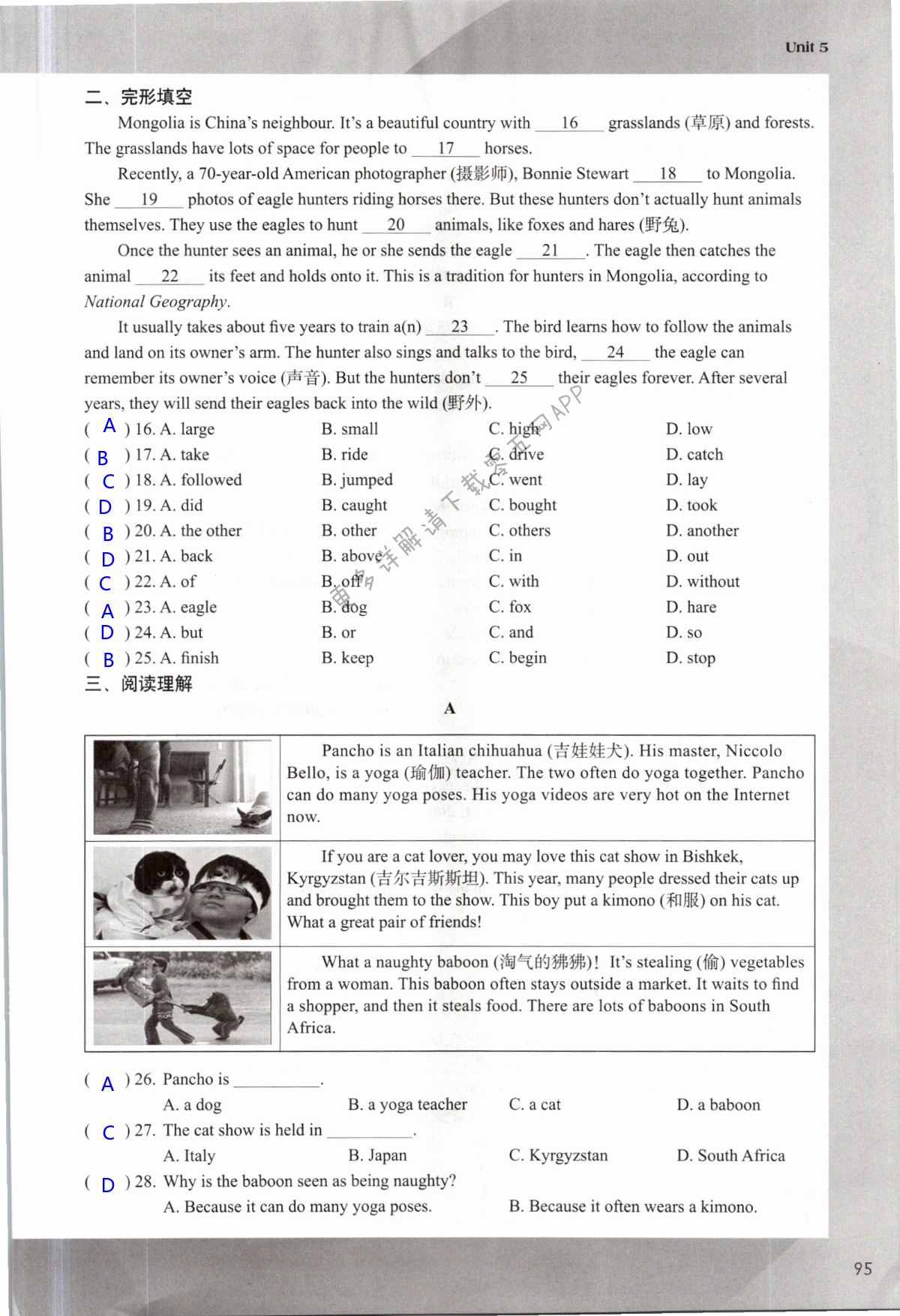 Unit 5 Amazing things - 第95页