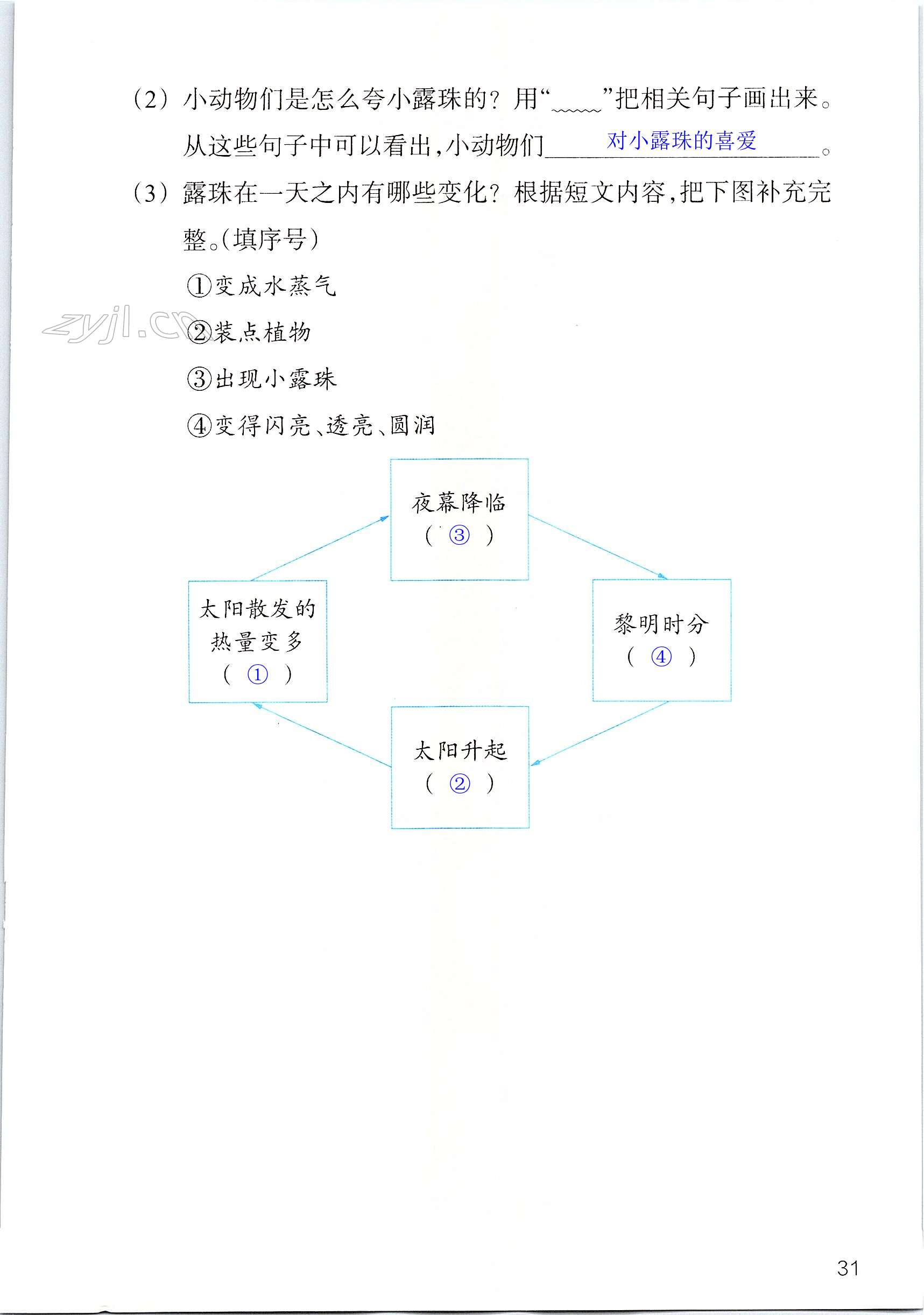 第31页