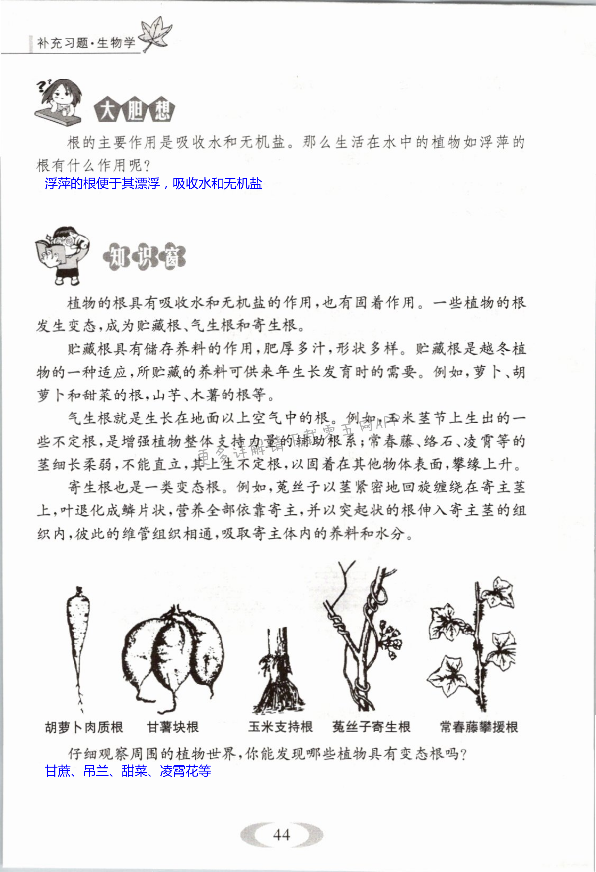 第44页