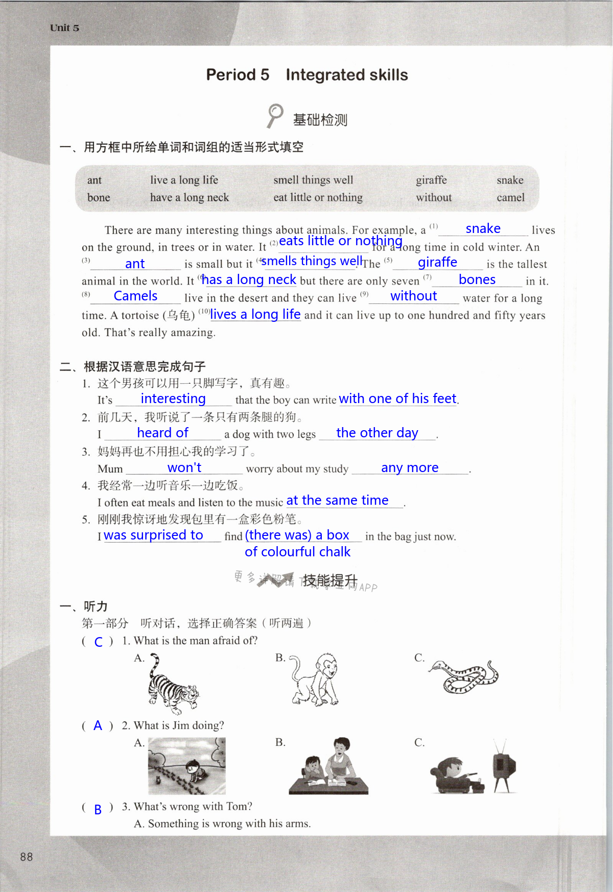 Unit 5 Amazing things - 第88页