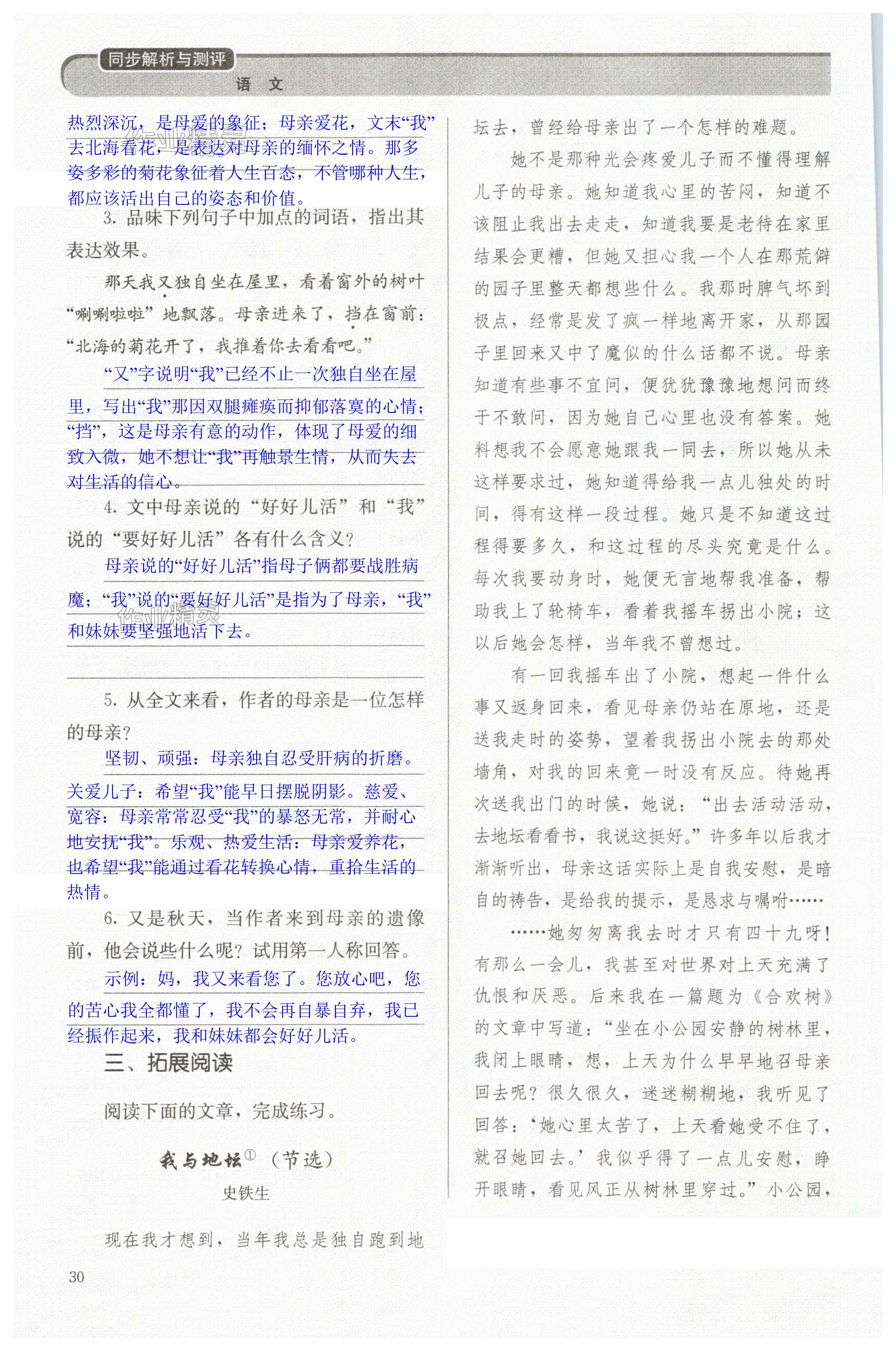 第30頁