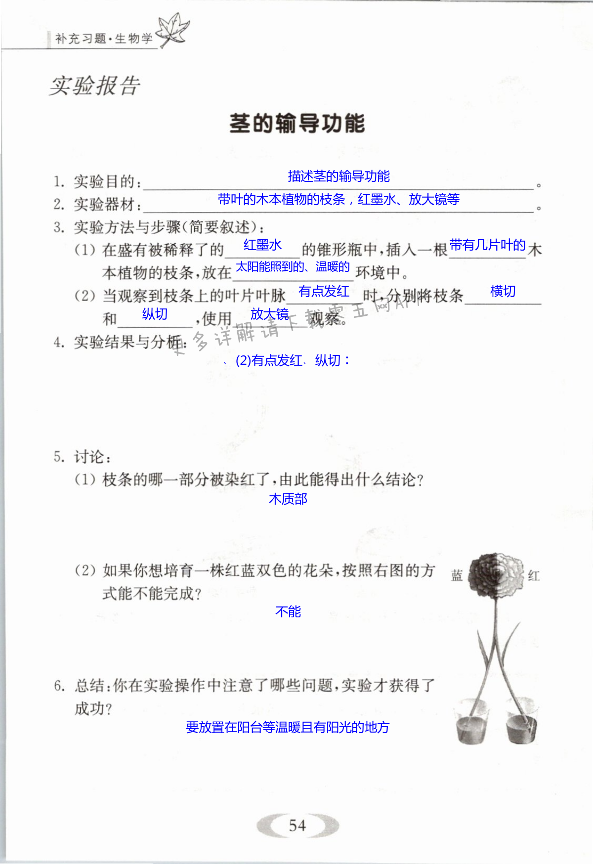 第54页