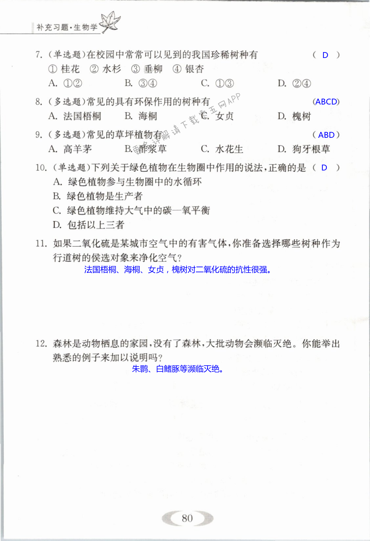 第80页