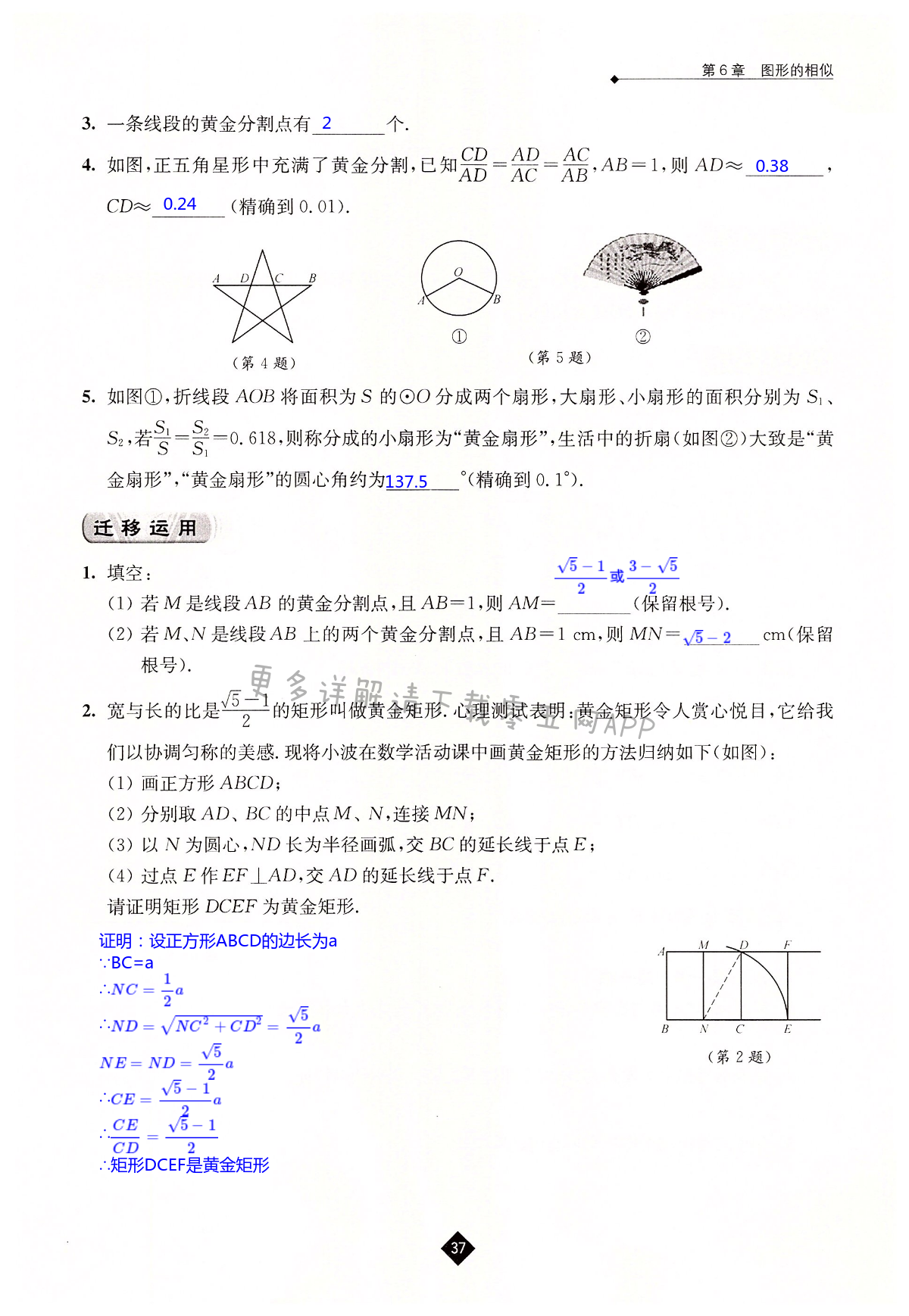 第6章 图形的相似 - 第37页