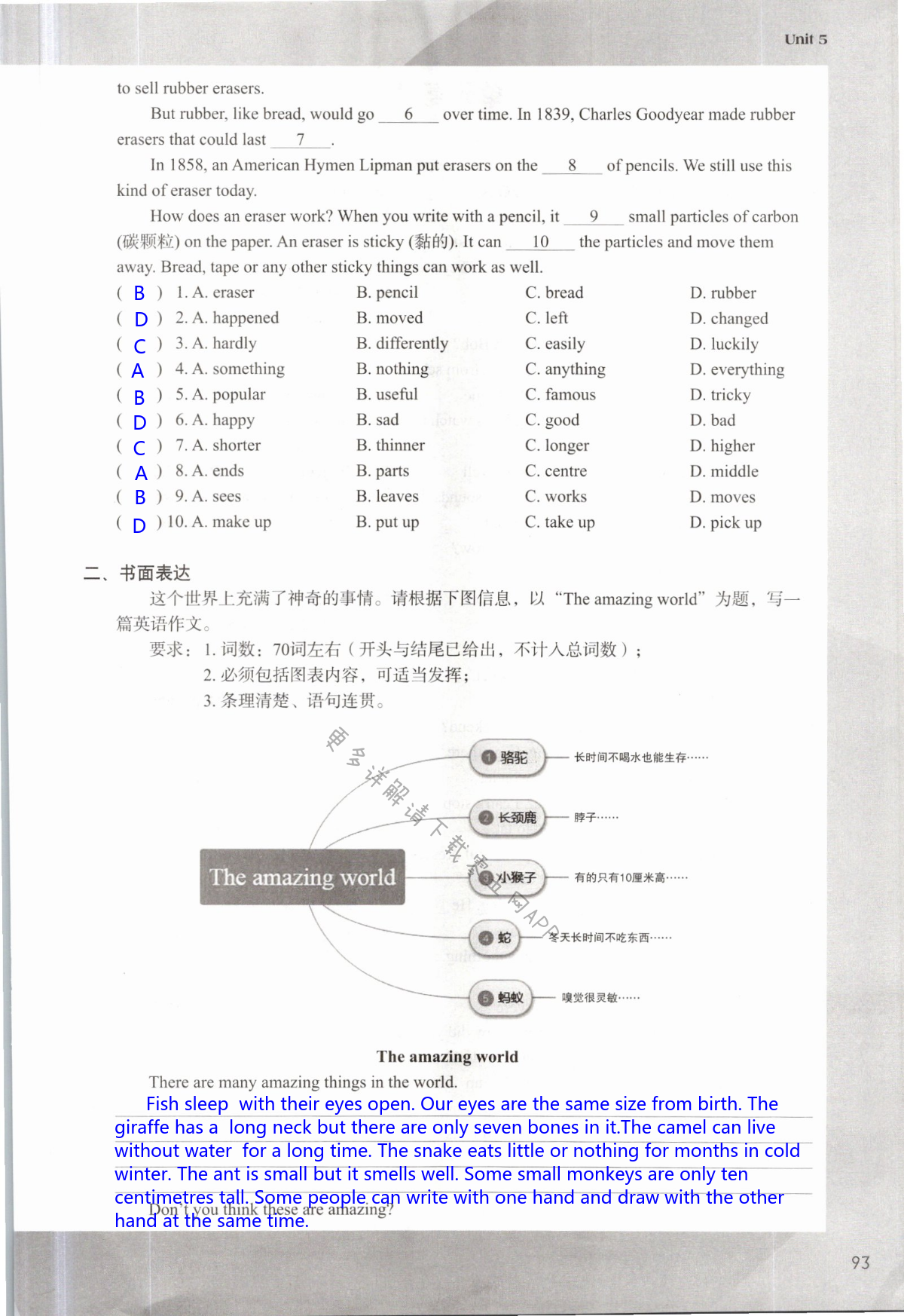 Unit 5 Amazing things - 第93页
