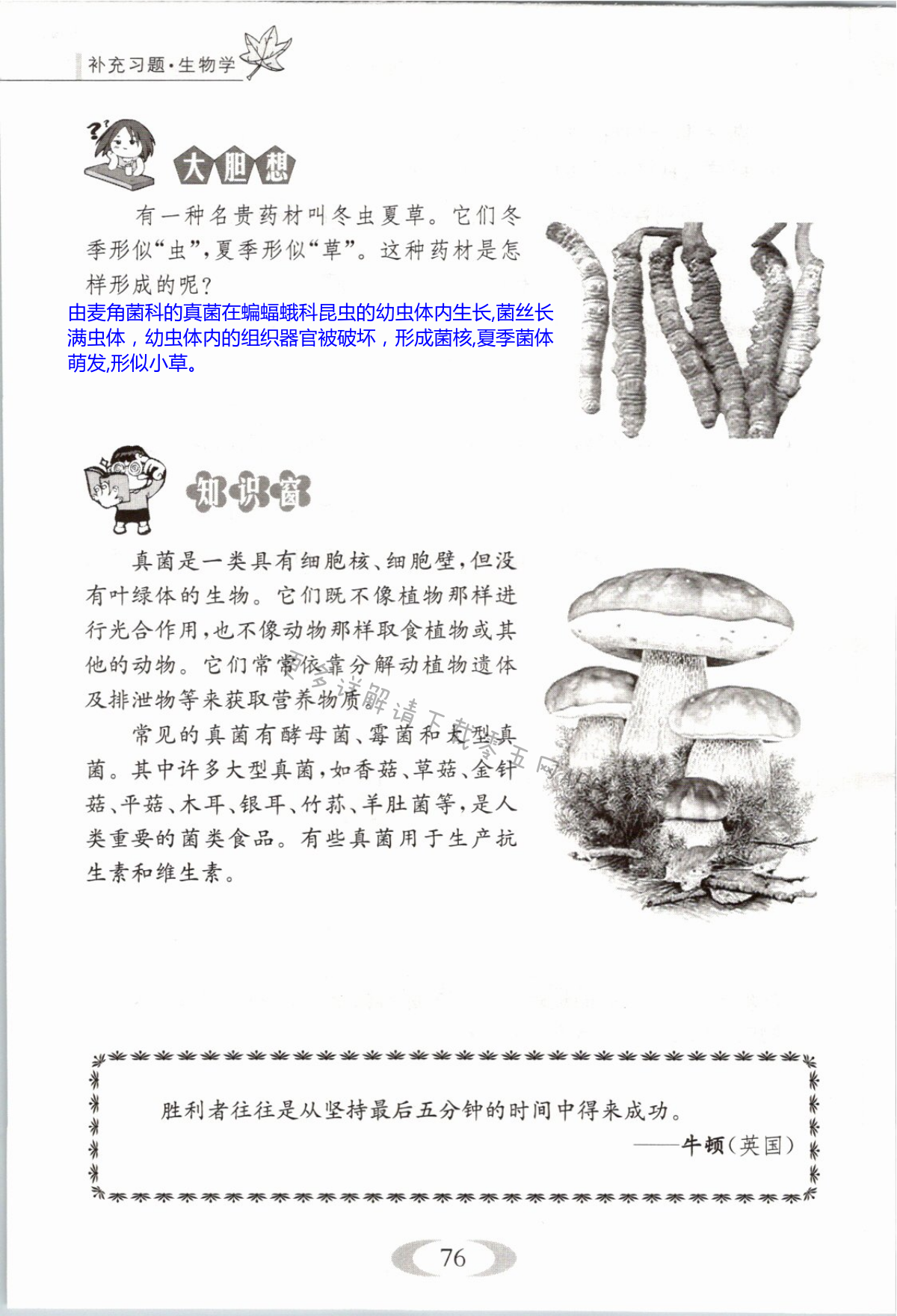 第76页