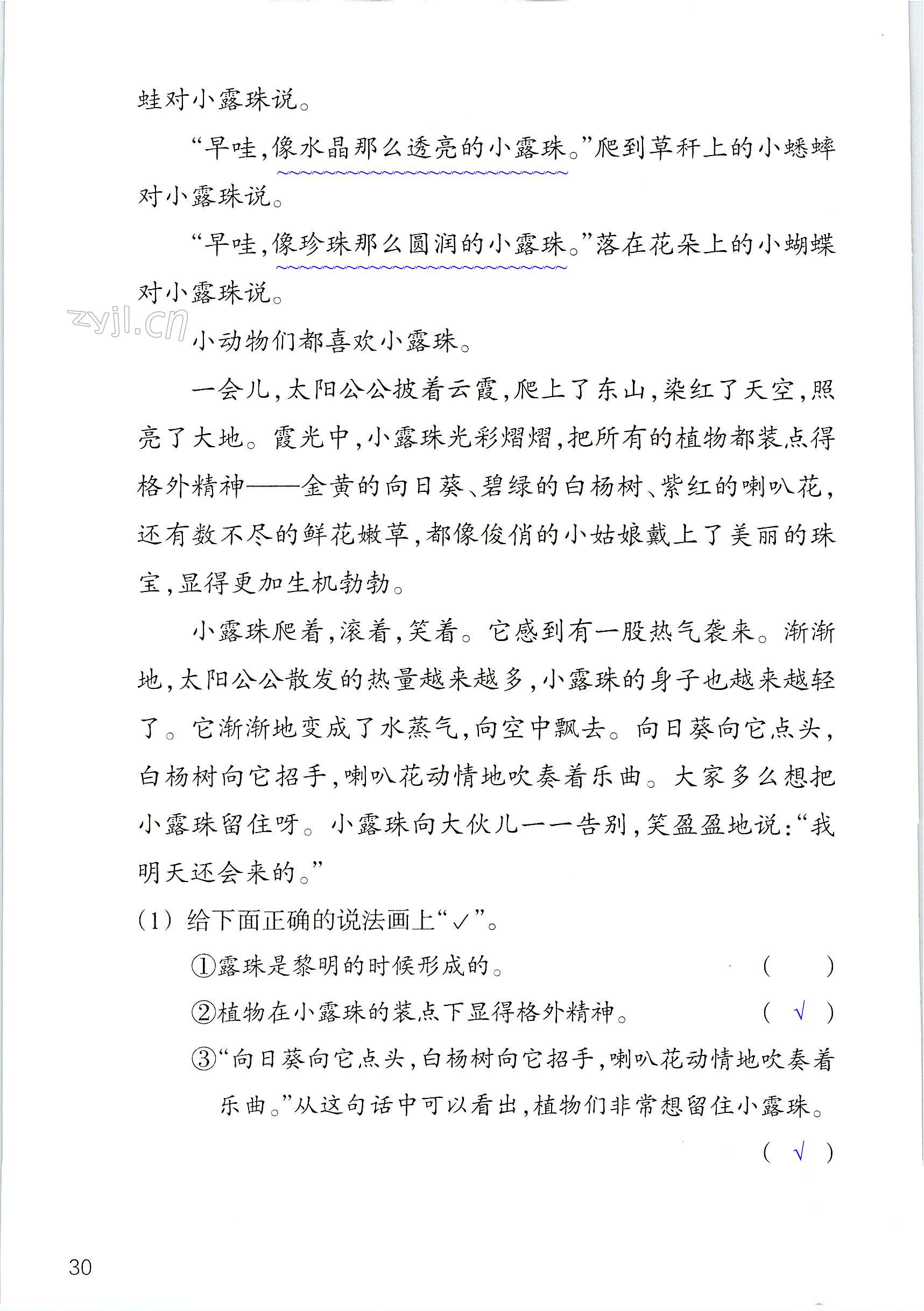 第30页