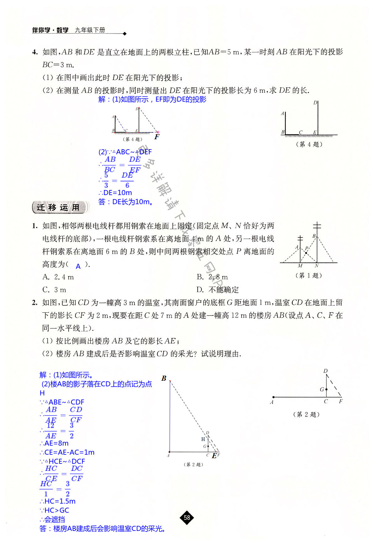第6章 图形的相似 - 第58页
