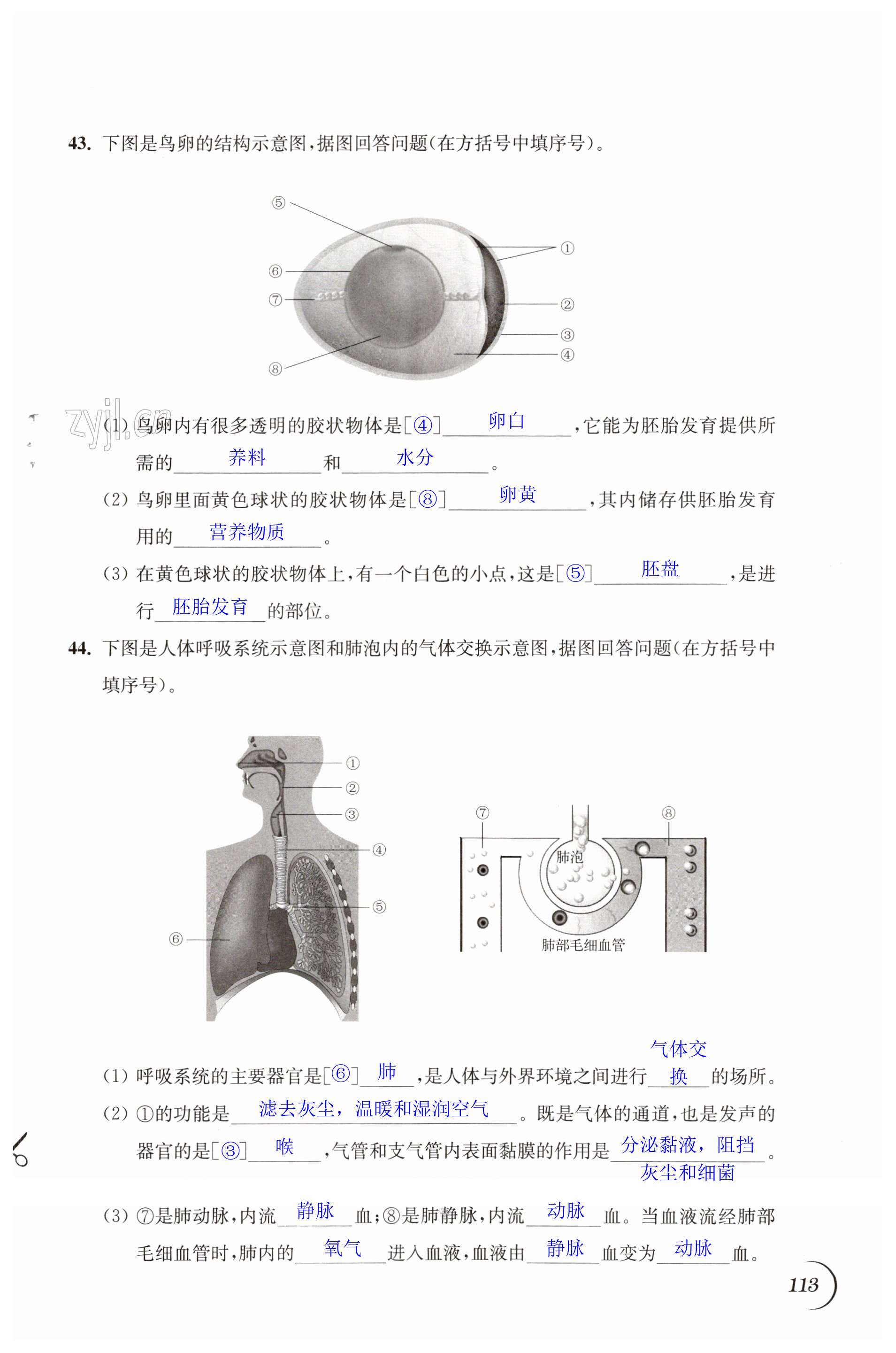 第113页