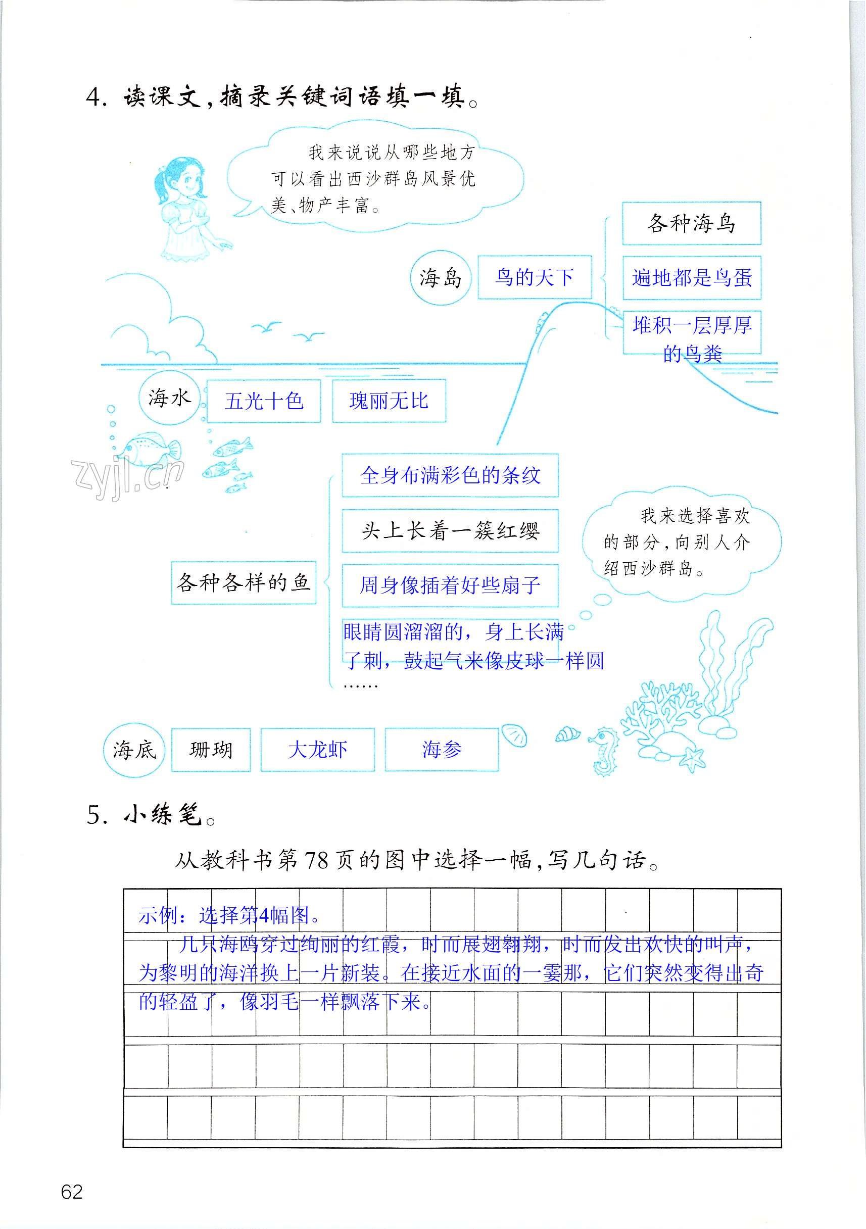 第62页