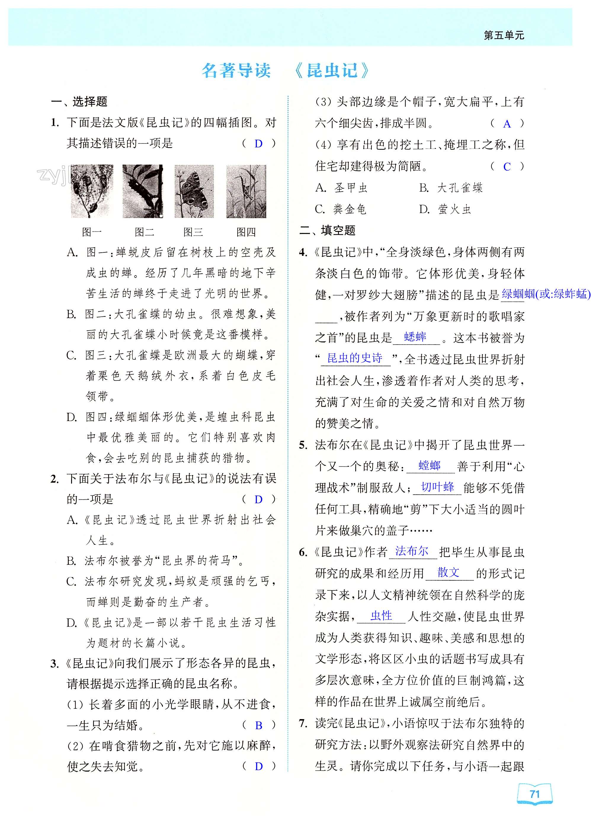 名著导读 《昆虫记》 - 第71页