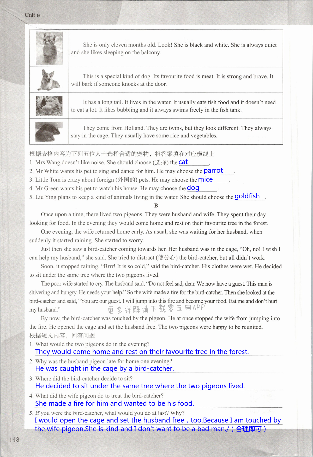 Unit 8 Pets - 第148页
