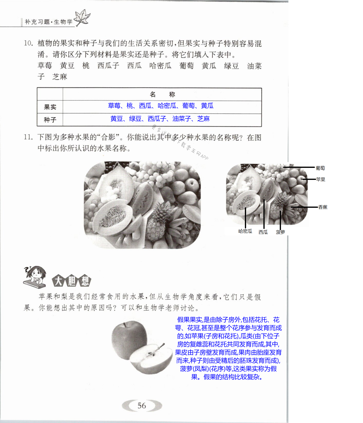 第56页