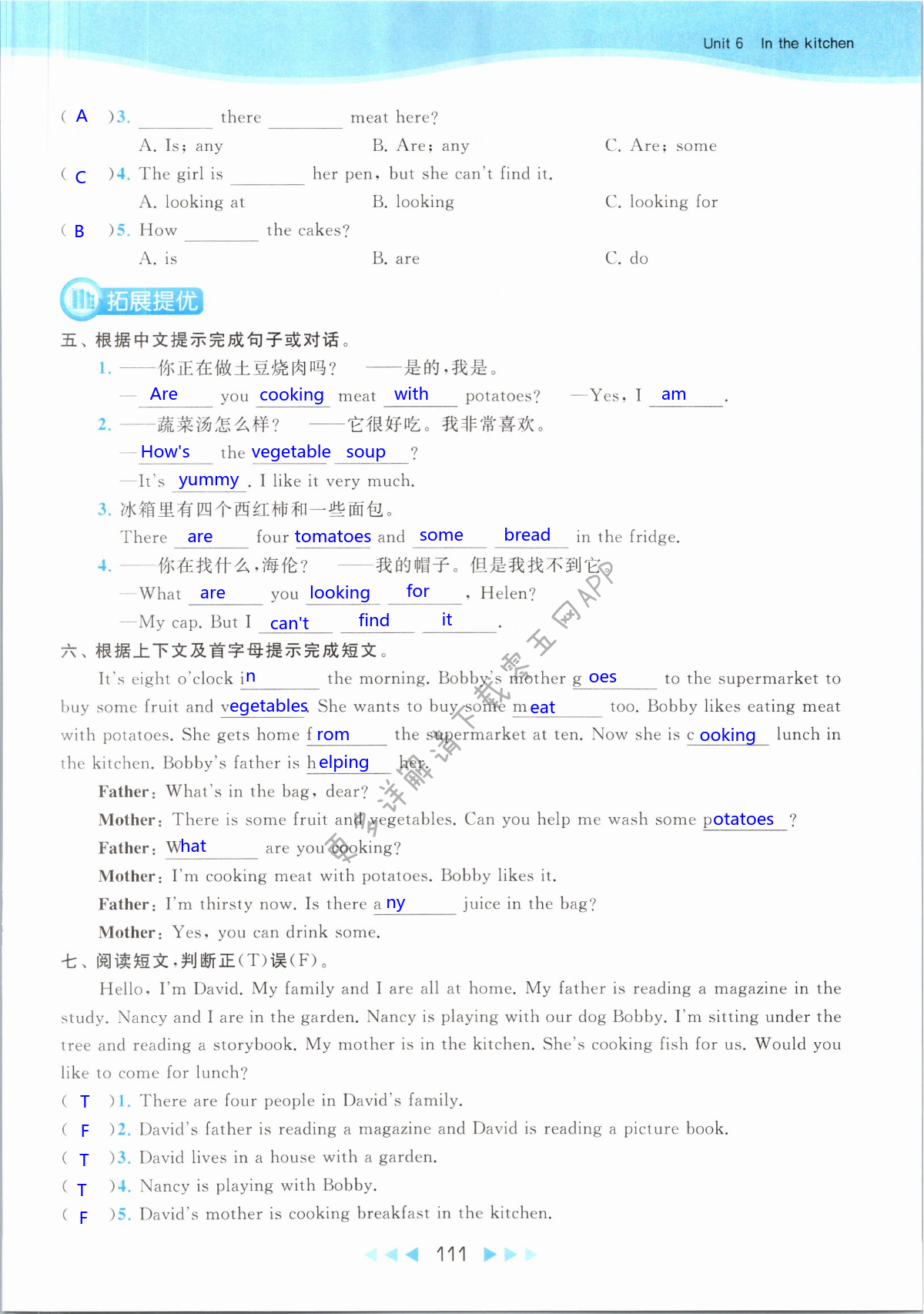 第111页