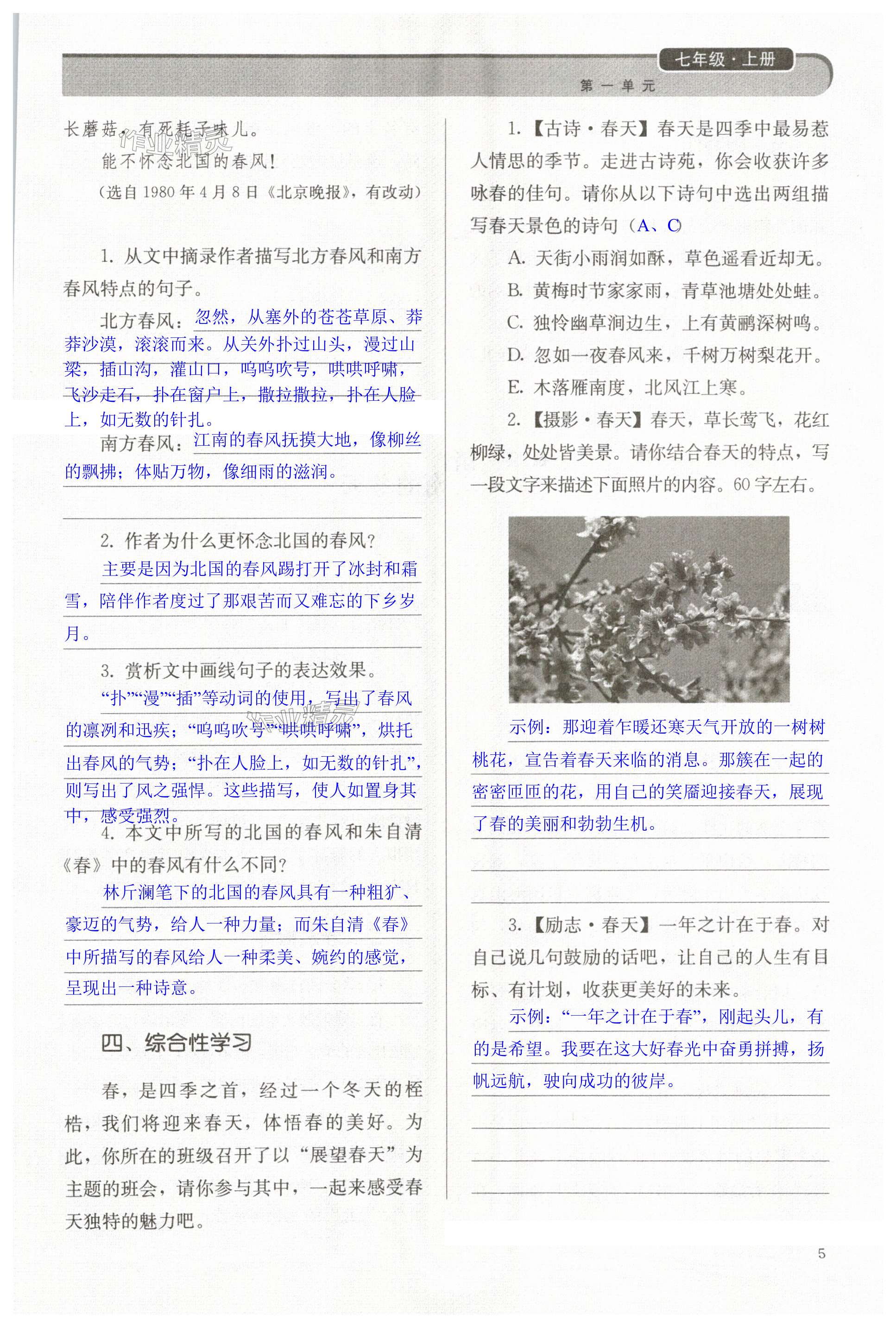 第5頁(yè)