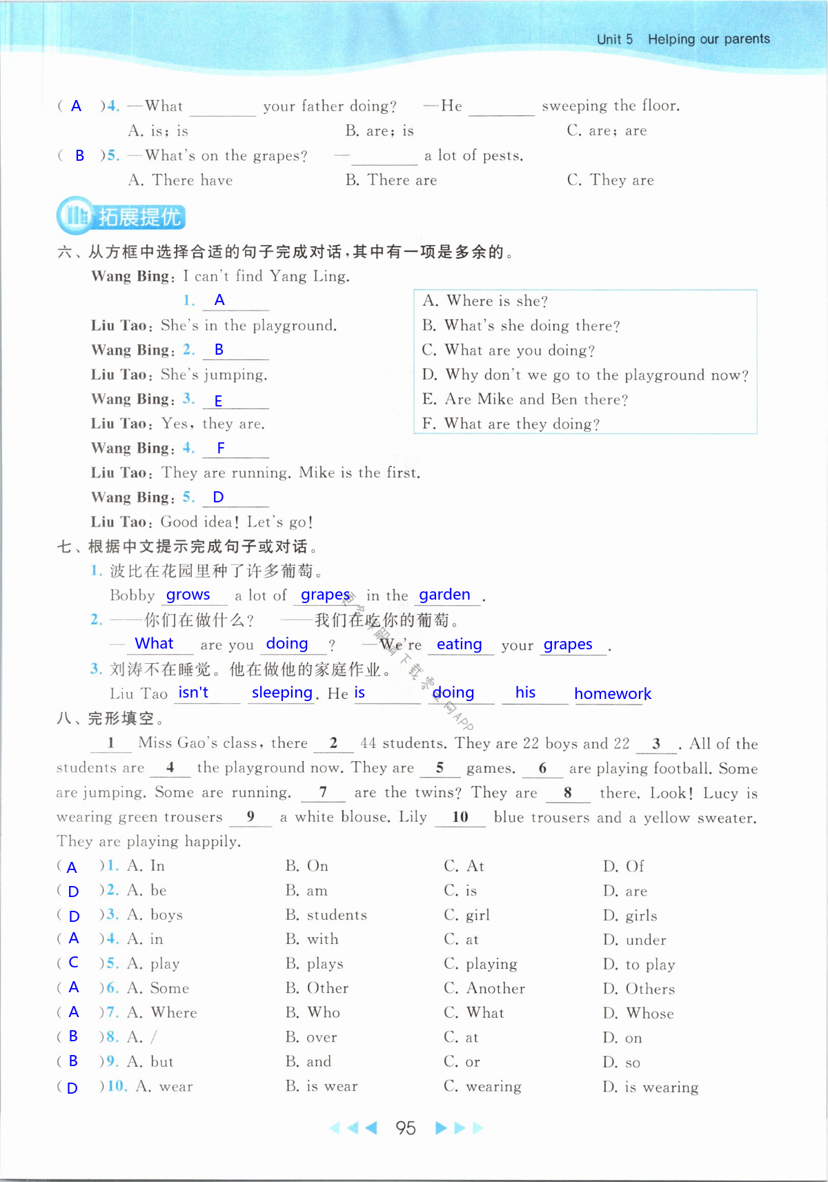 第95页