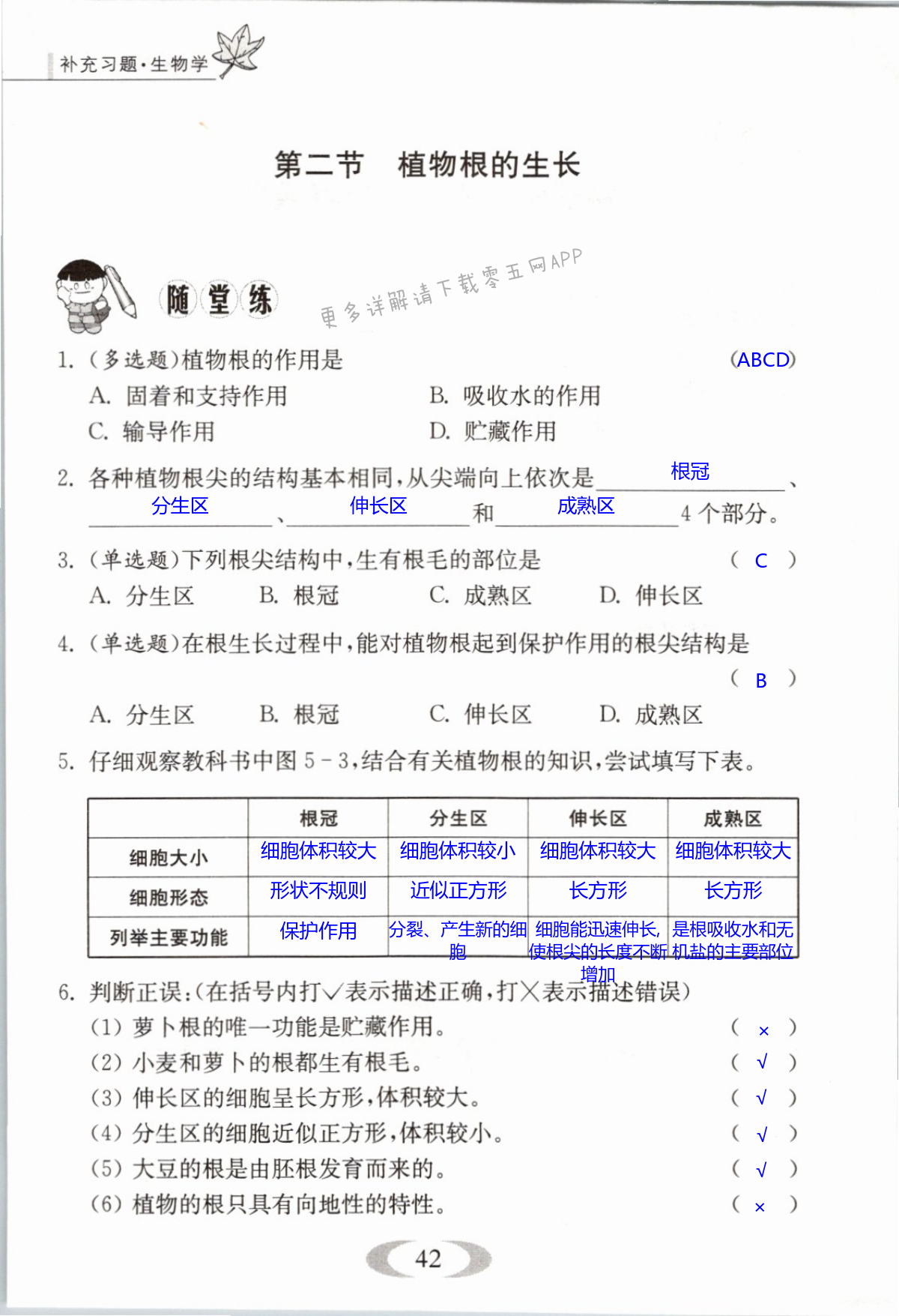 第42页