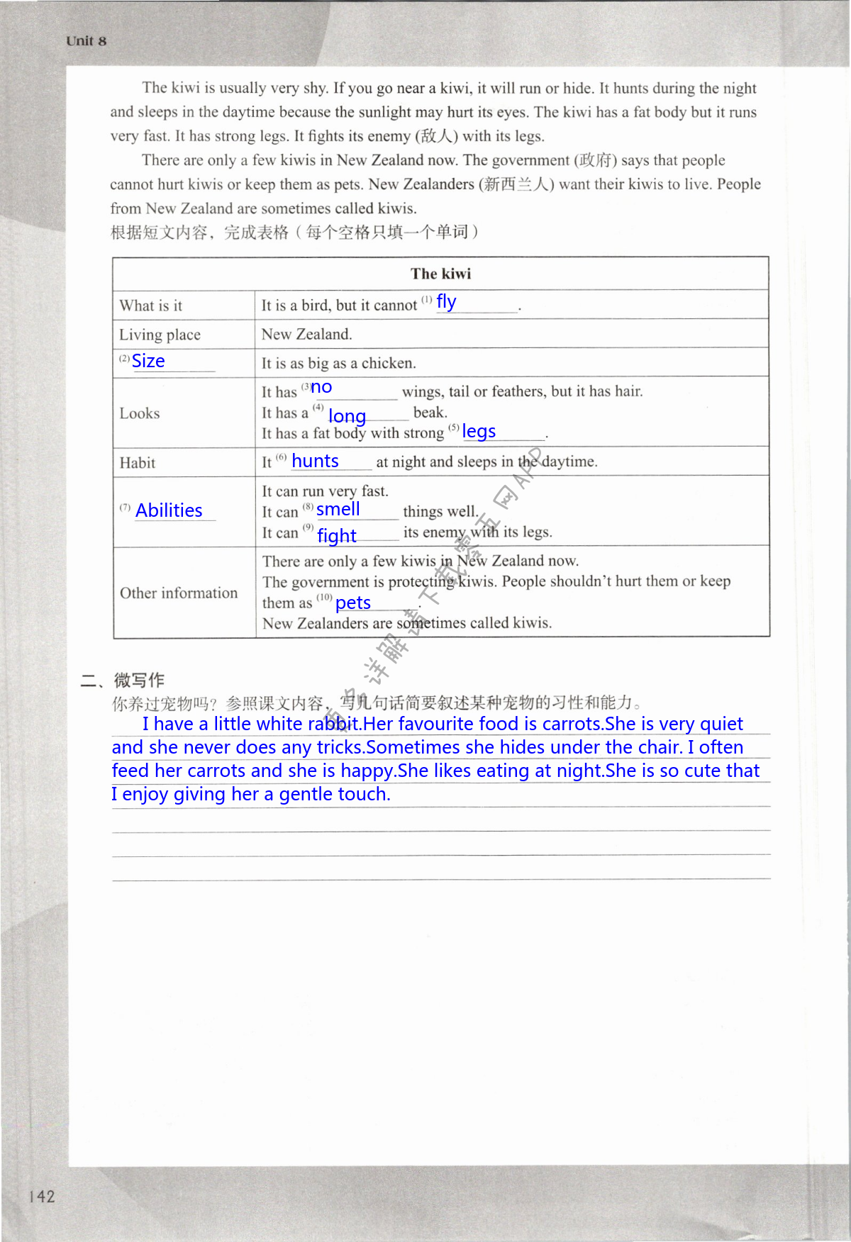 Unit 8 Pets - 第142页