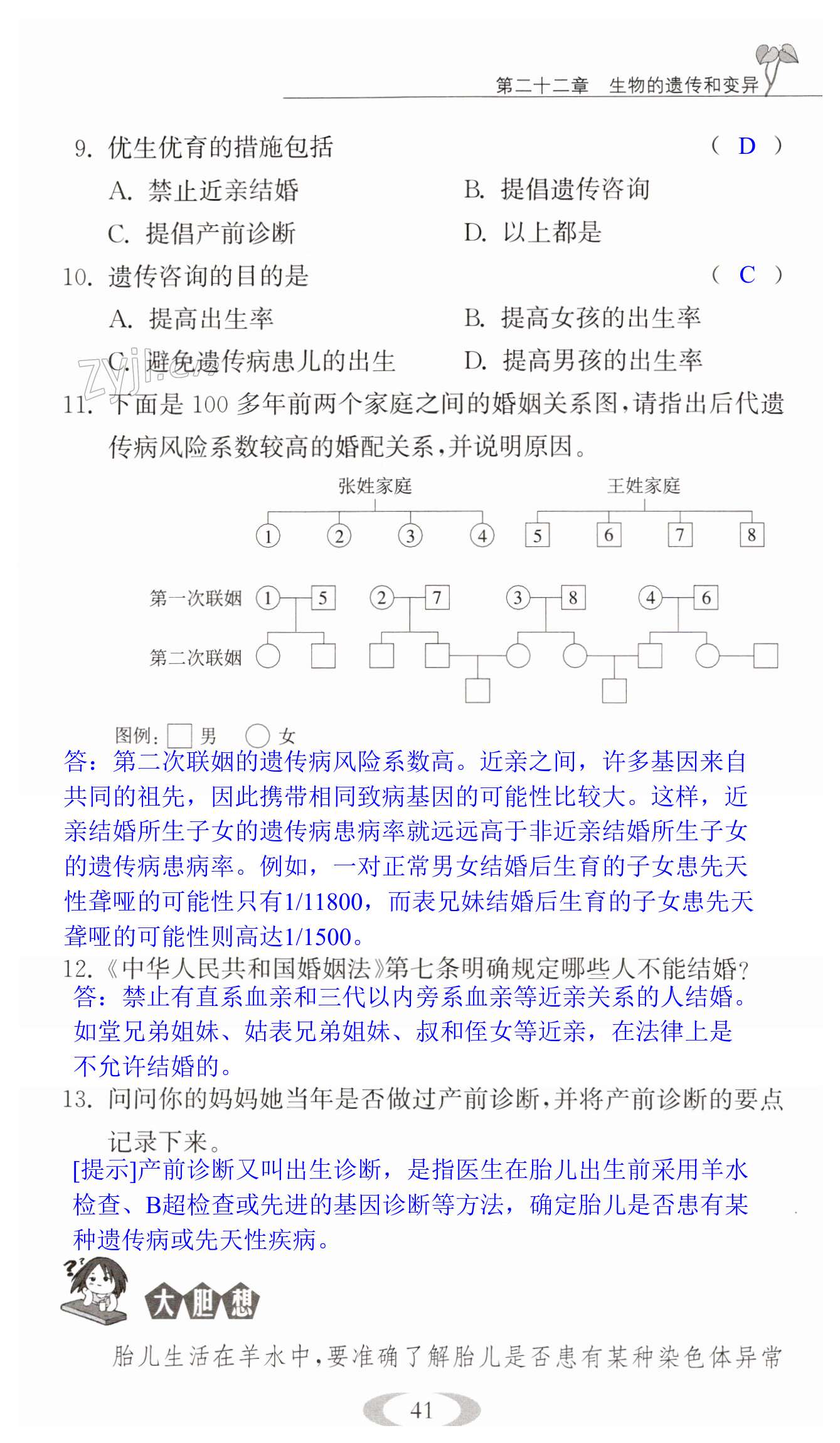 第41页