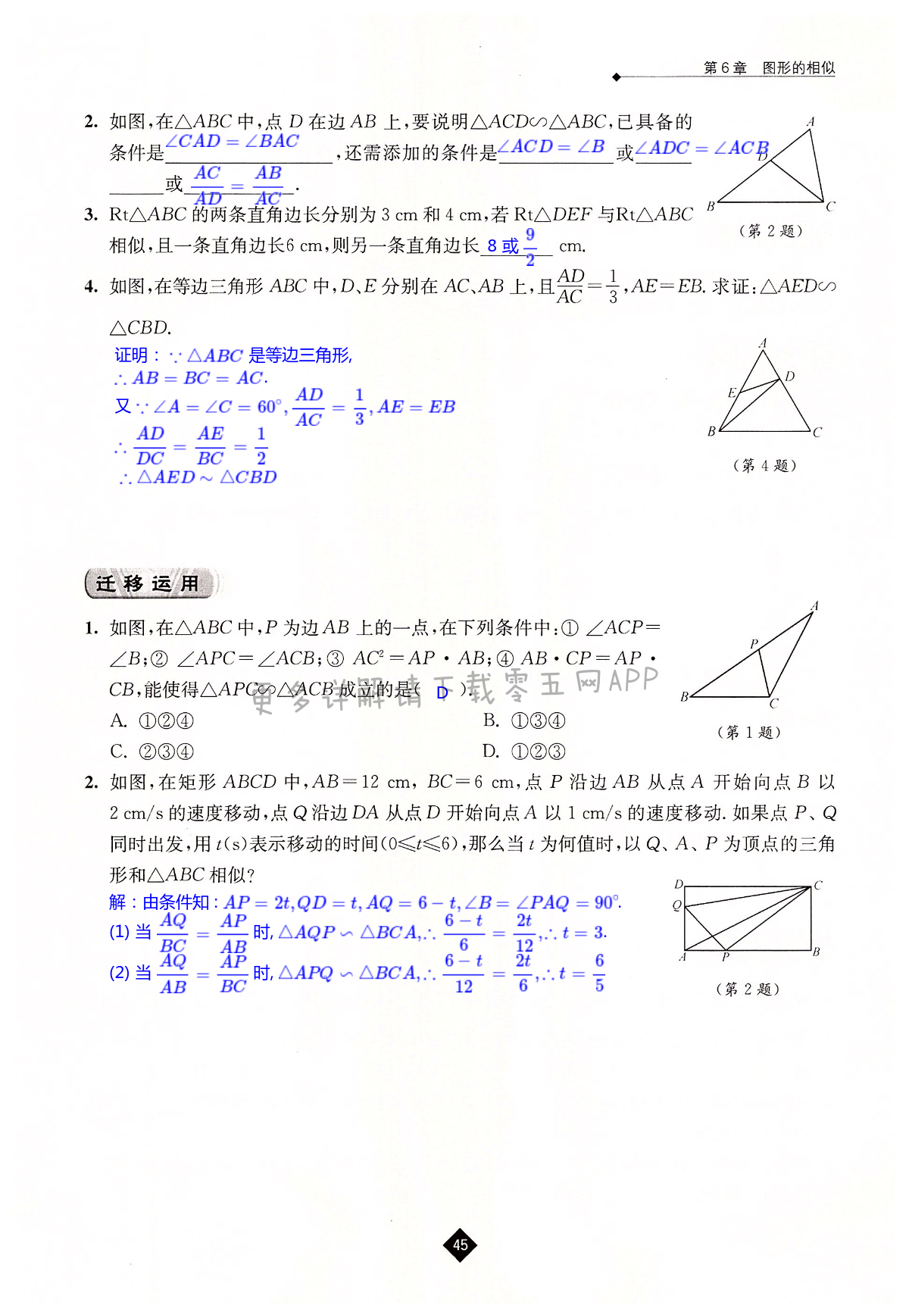 第6章 图形的相似 - 第45页