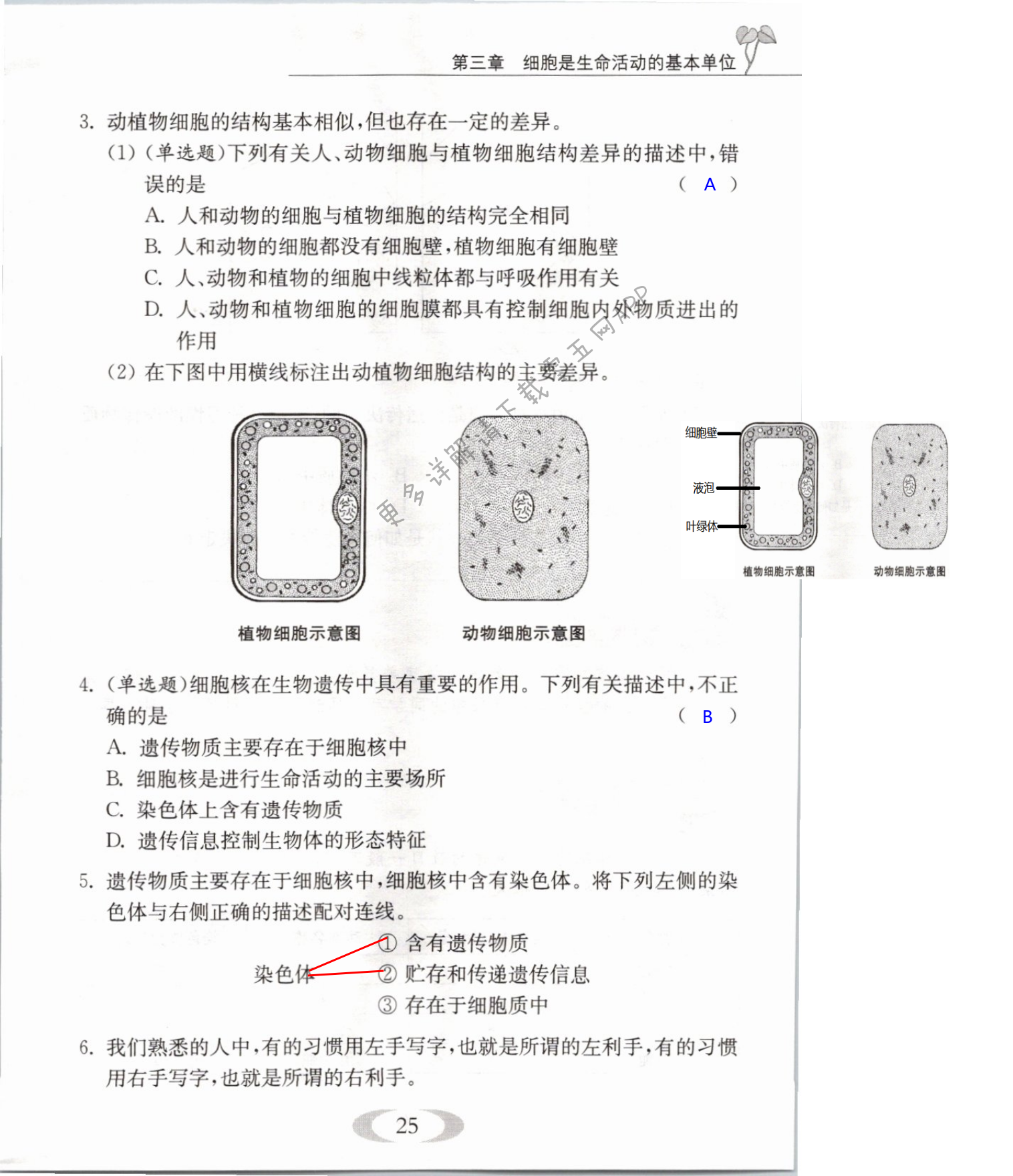 第25页