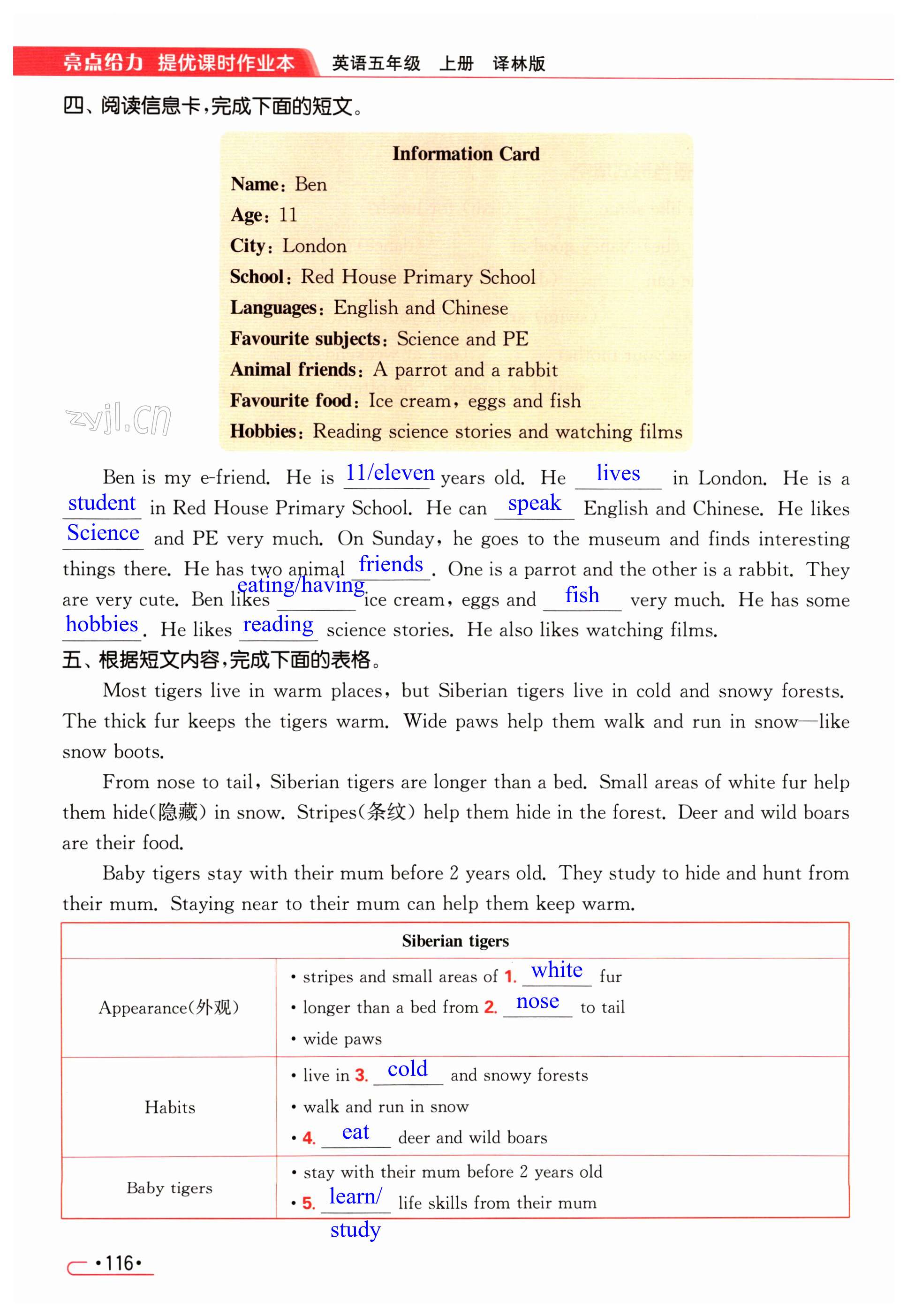 第116页