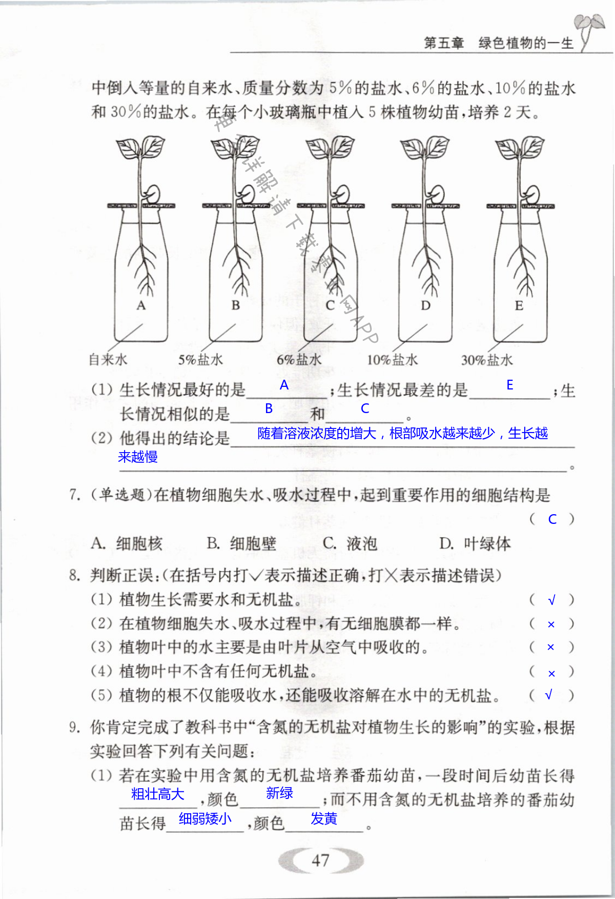 第47页