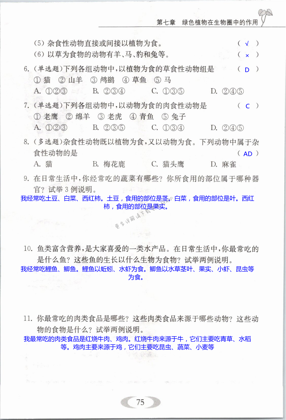 第75页