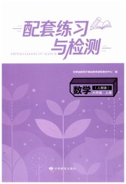 配套练习与检测六年级数学人教版